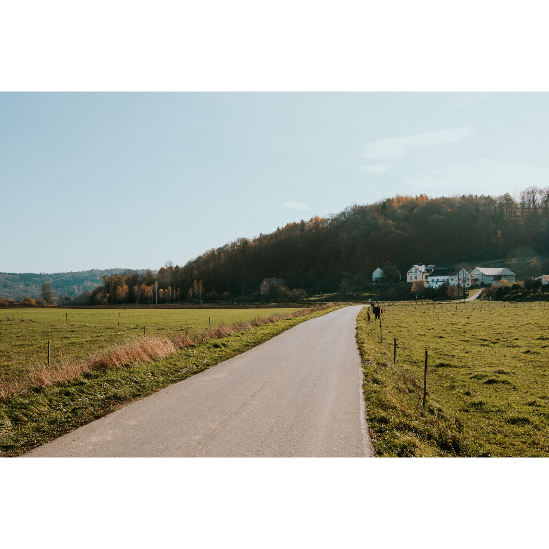 An asphalt road running along meadows, single-family houses and trees on a hill in the distance