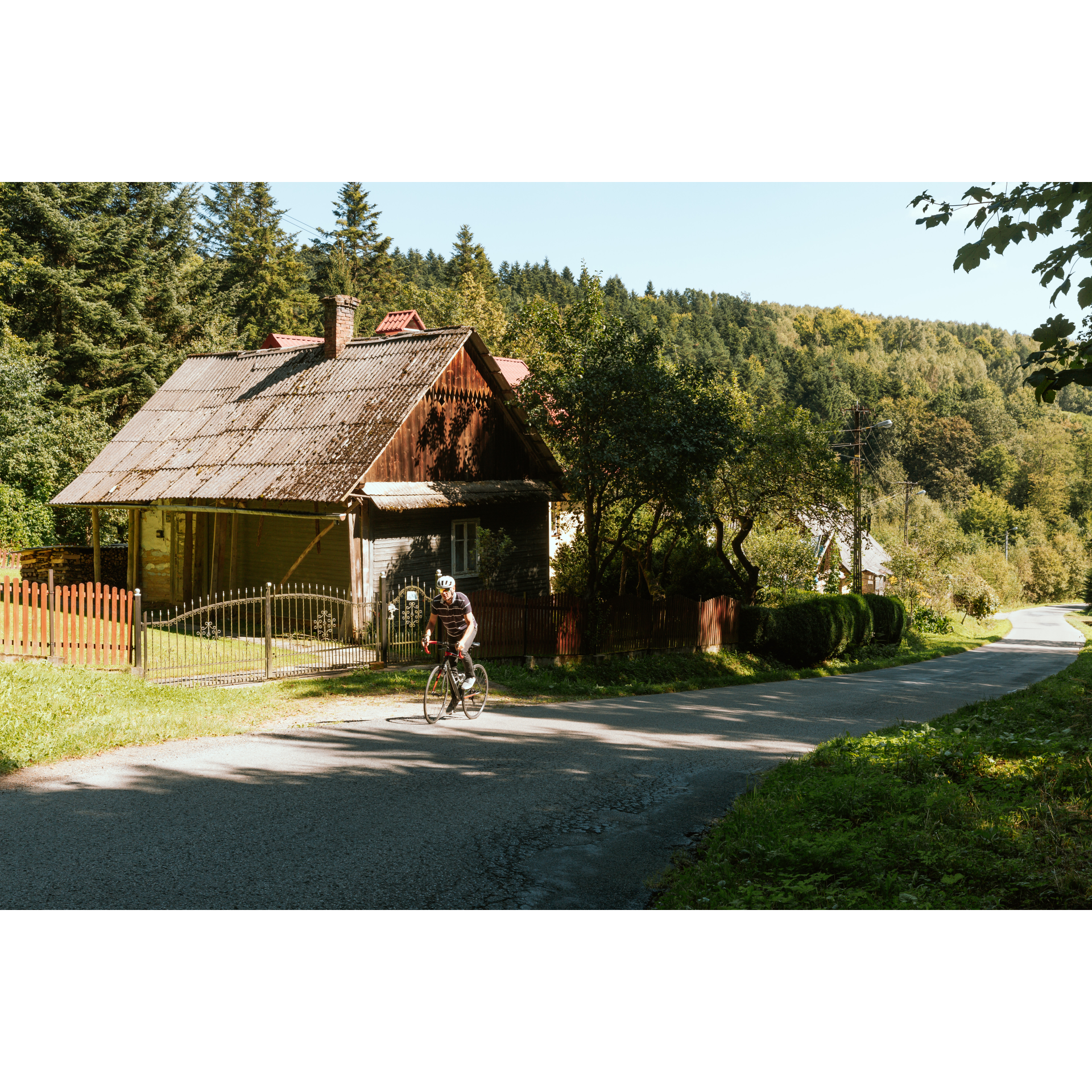 Forest cottage