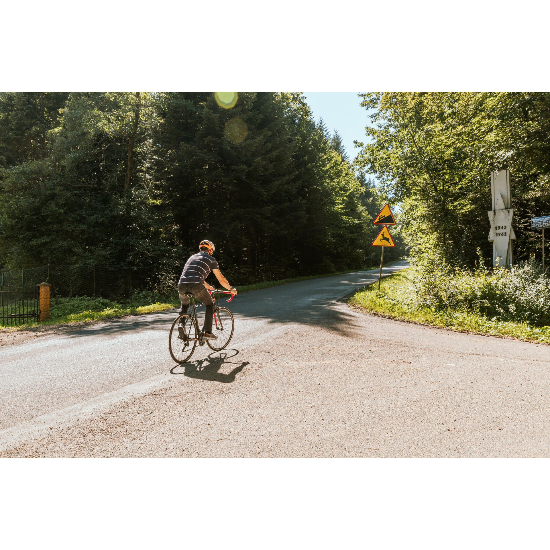 A forest road to adventure