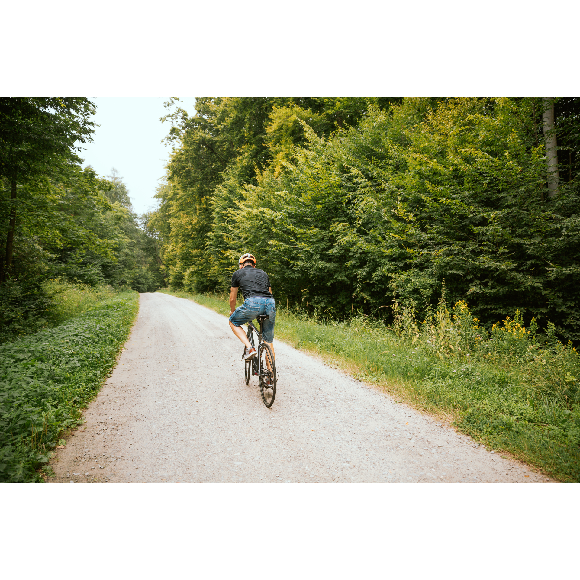 Cyclist on the road among the trees