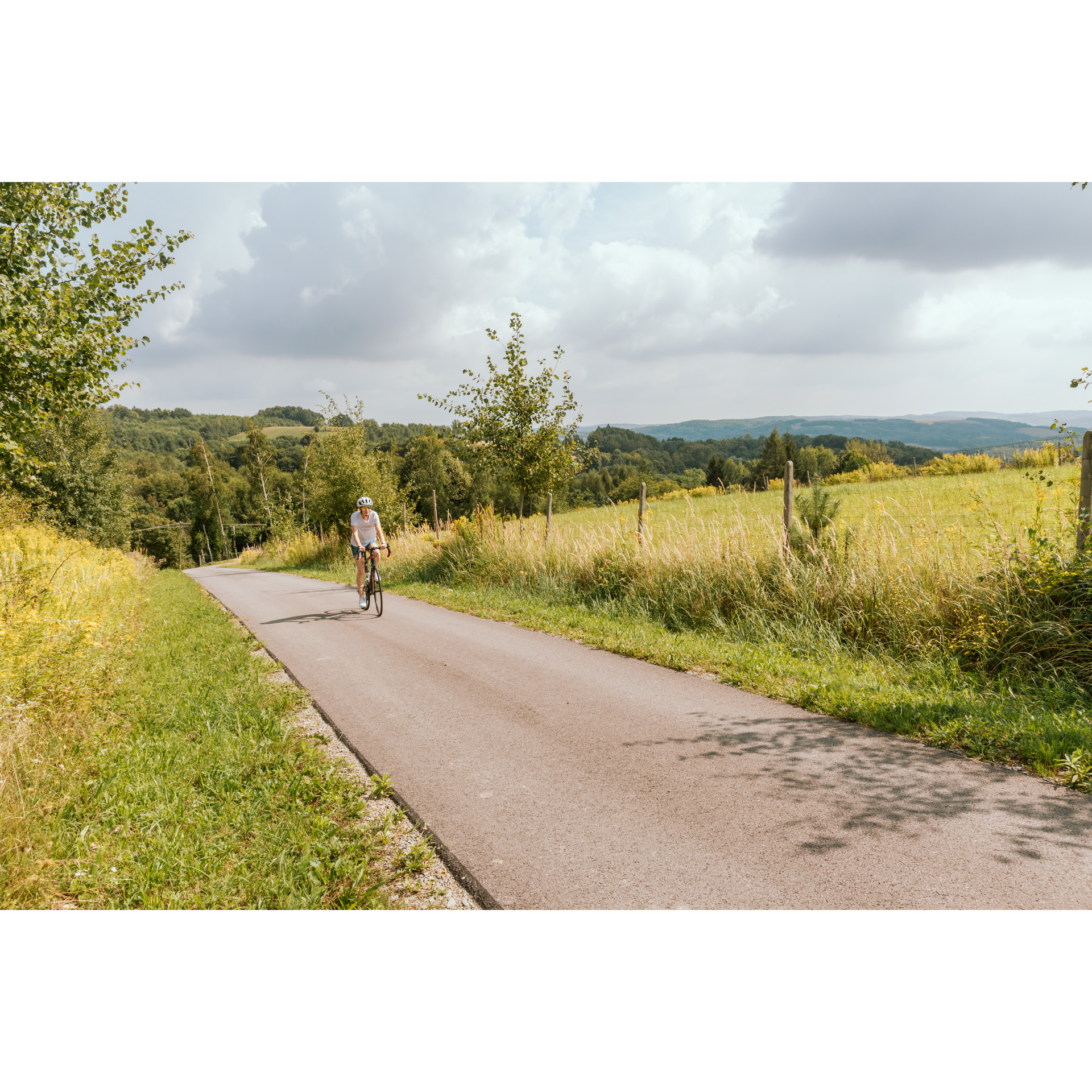 Cyclist and fields