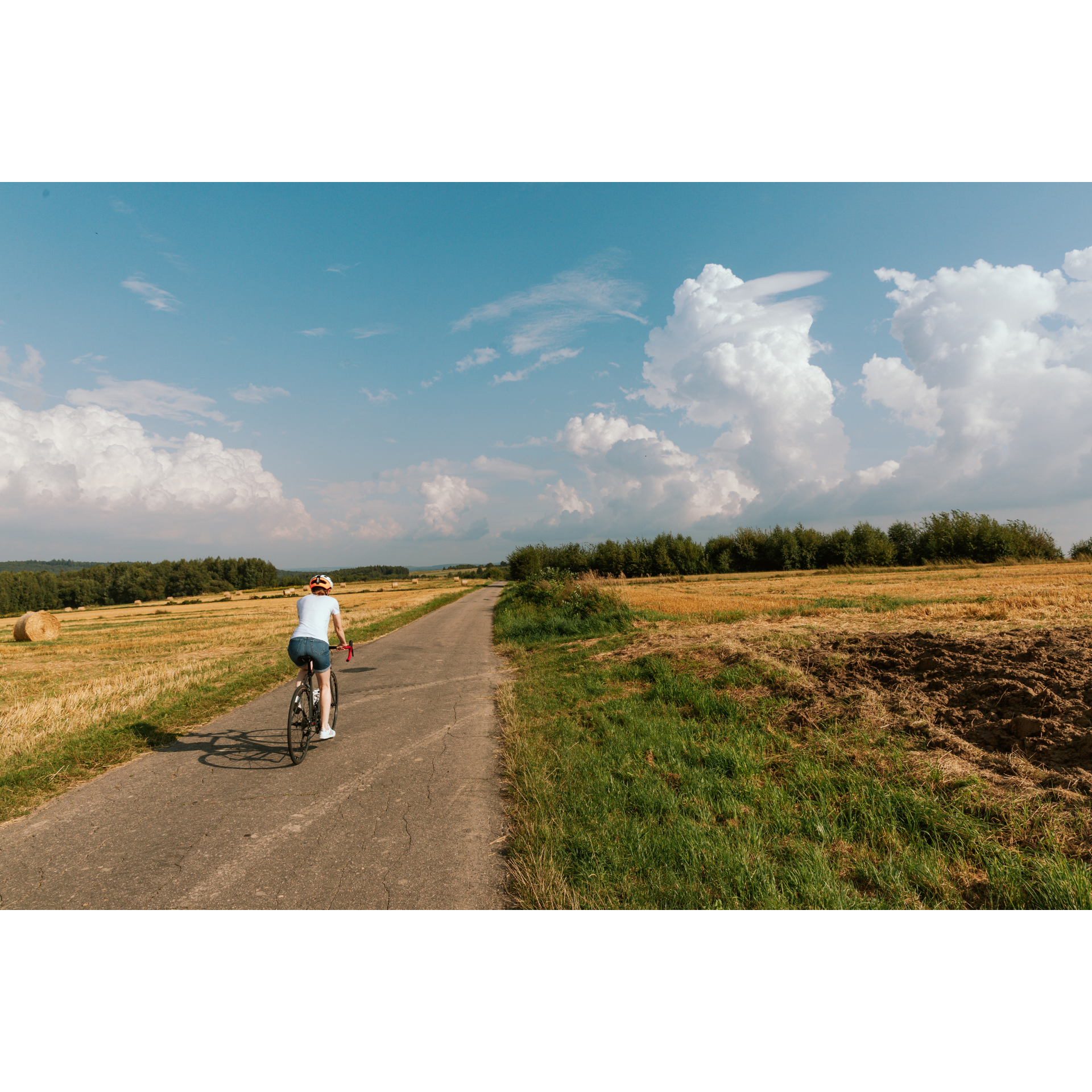 A cyclist among the fields