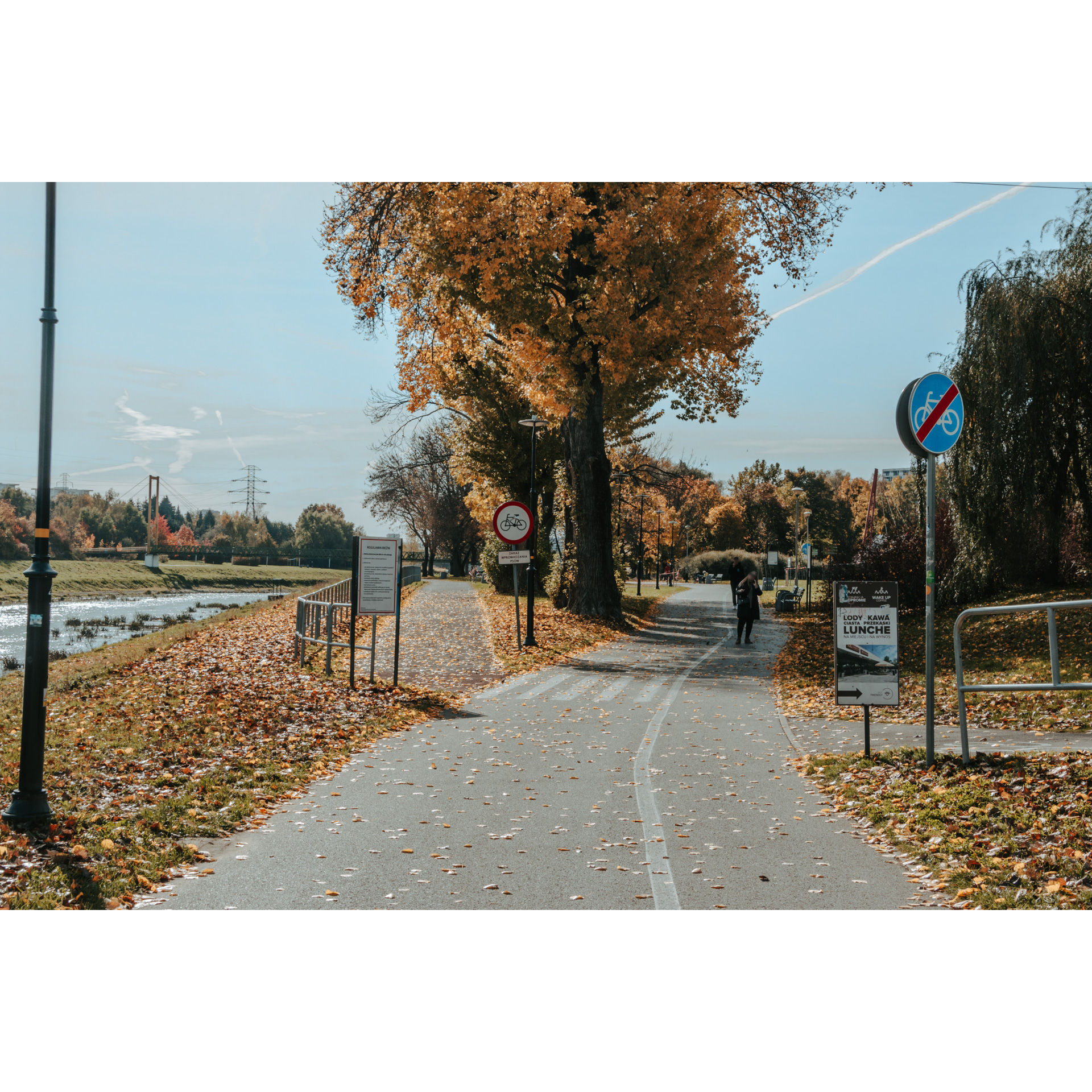 Rozwidlenie asfaltowej ścieżki dla pieszych i rowerzystów, po lewej stronie rzeka, w tle wysokie drzewo z kolorowymi liśćmi