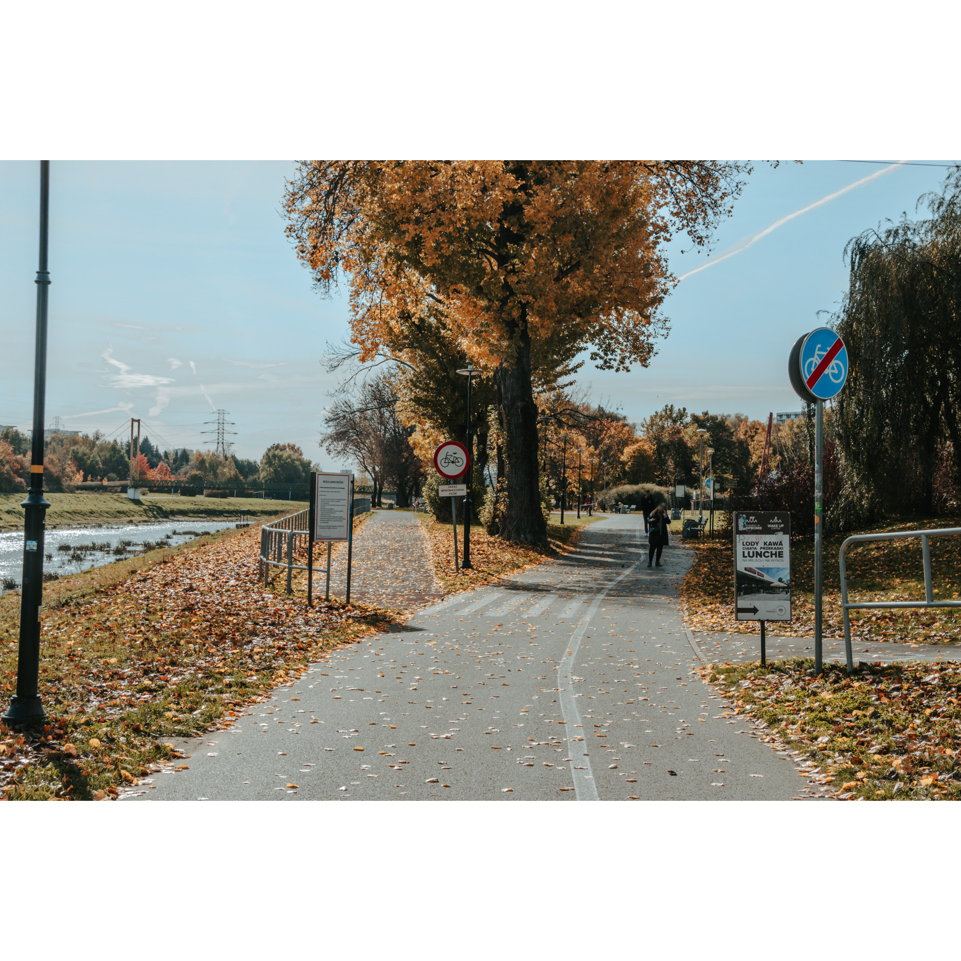 A fork in the asphalt path for pedestrians and cyclists, a river on the left, a tall tree with colorful leaves in the background