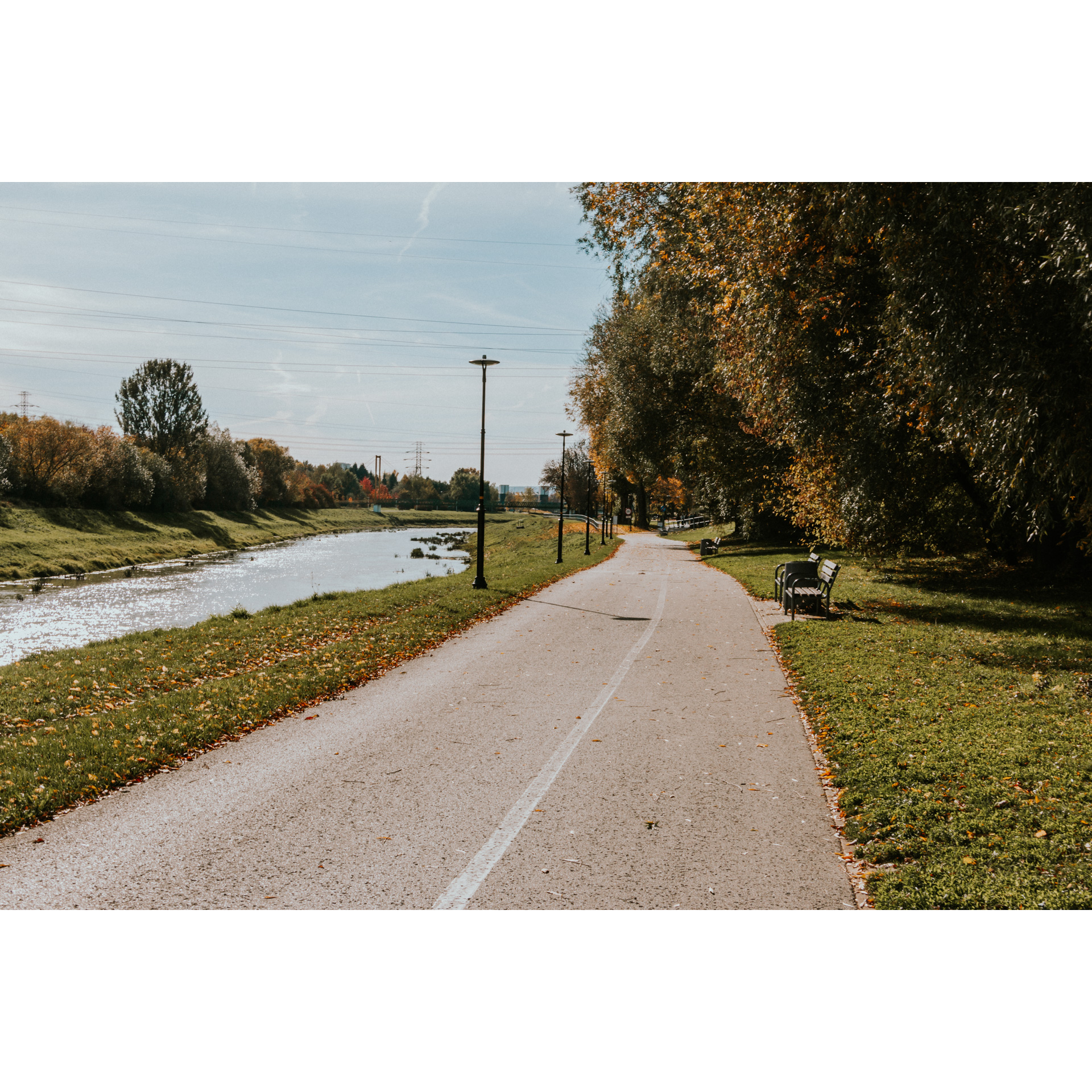 Asphalt path for pedestrians and cyclists, river and bushes on the left, wooden benches and tall trees with colorful leaves on the right