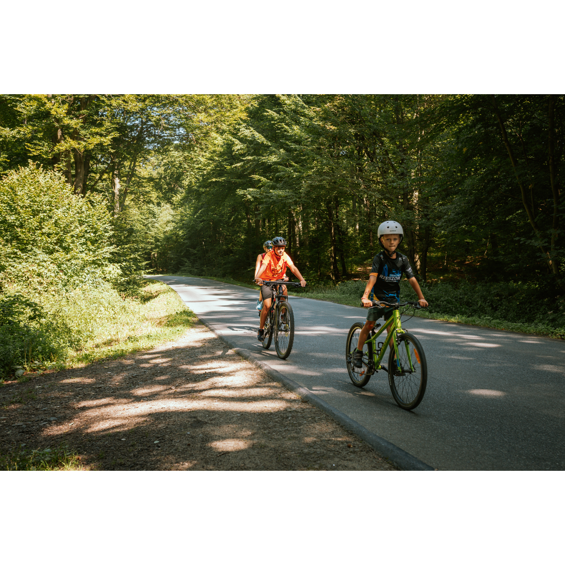 Cyclists among the trees