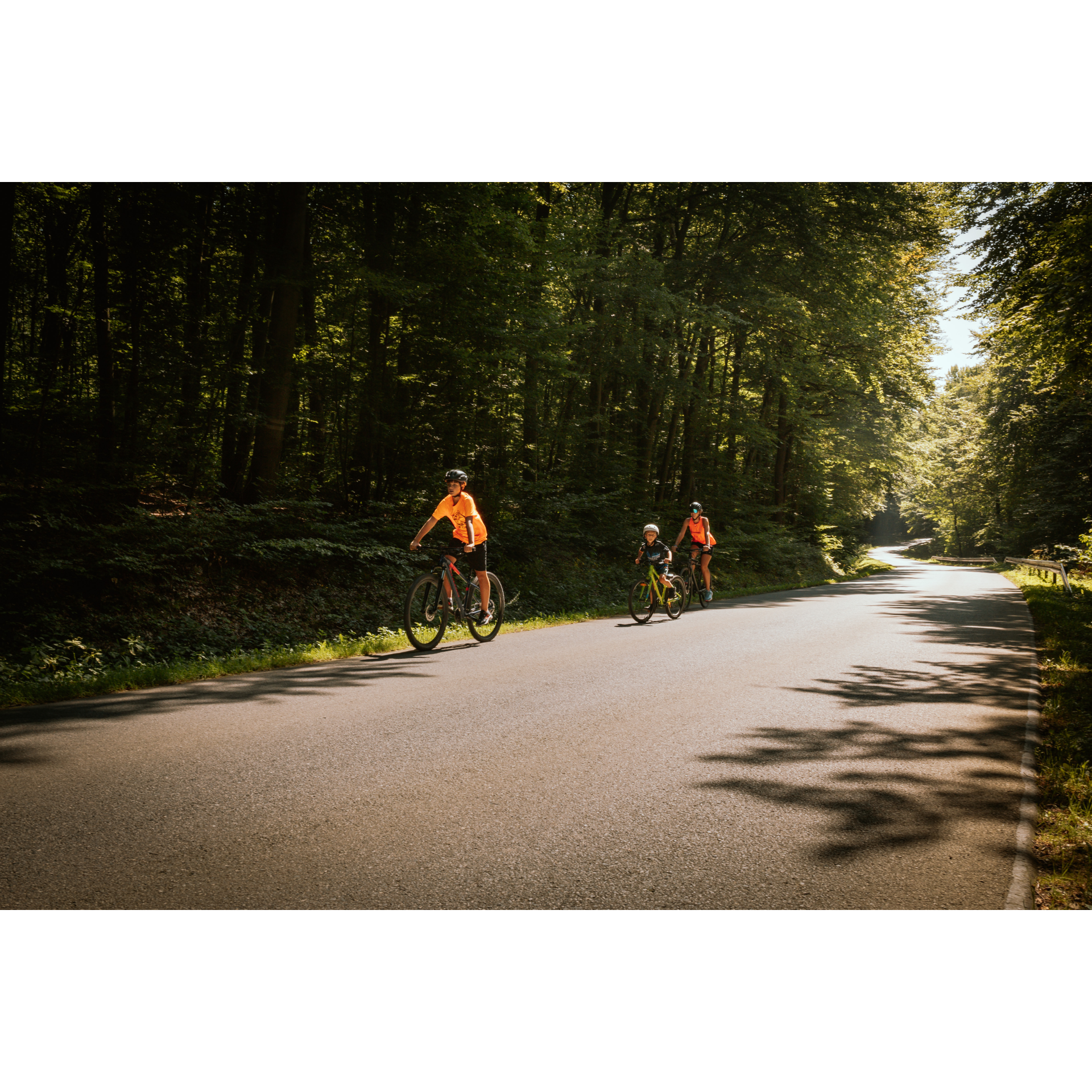 Cyclists among the trees