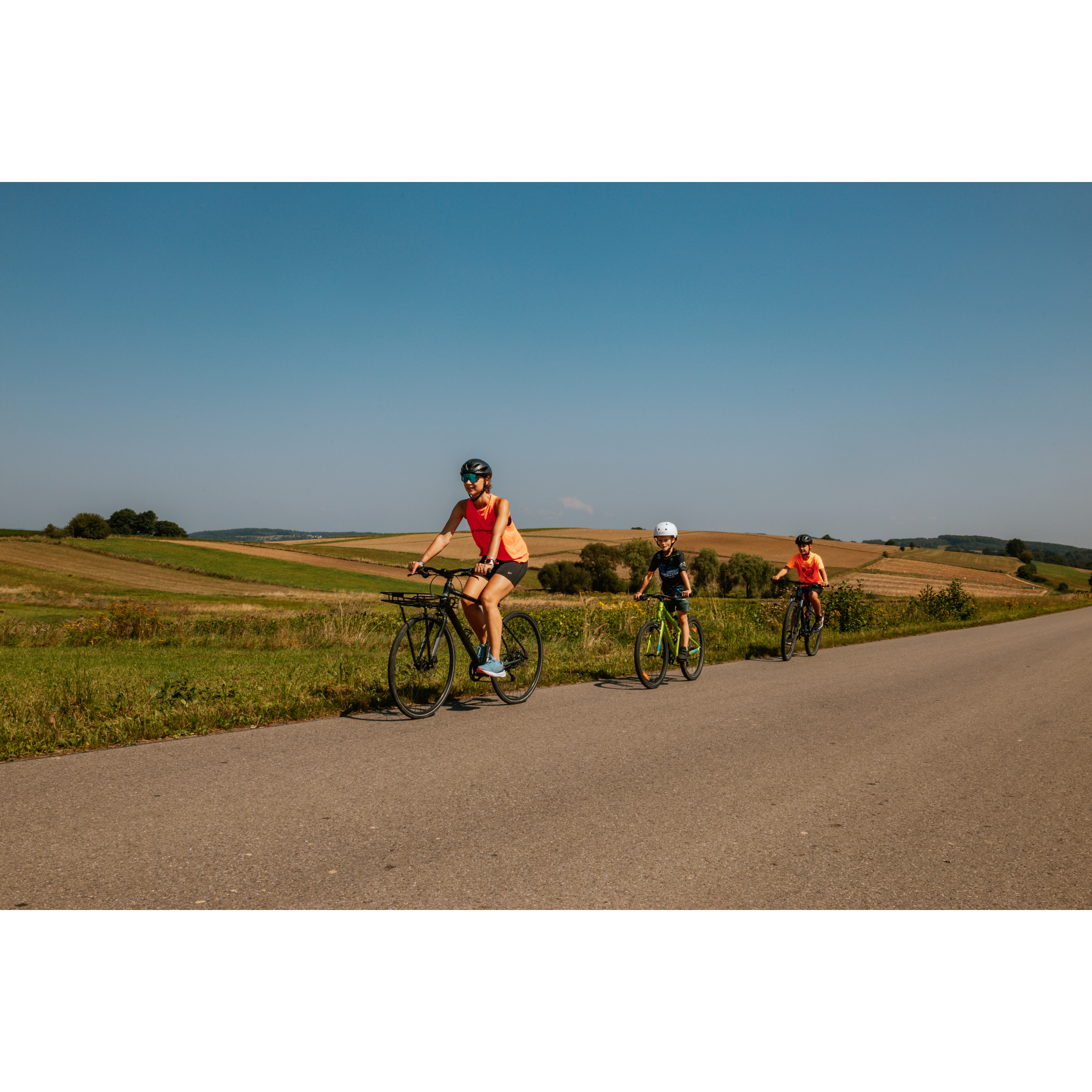 Cyclists on the road among the fields