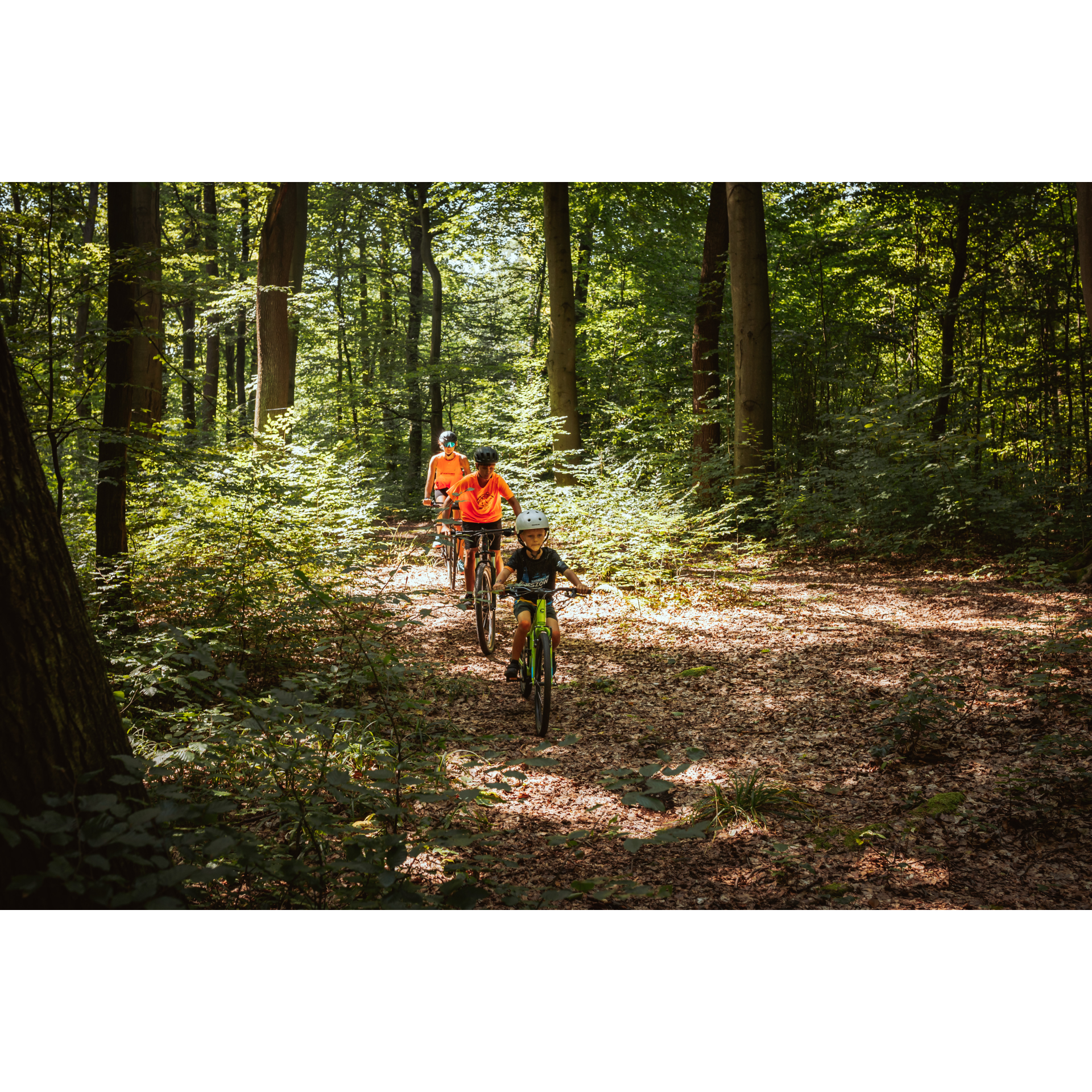 Cyclists on a forest road