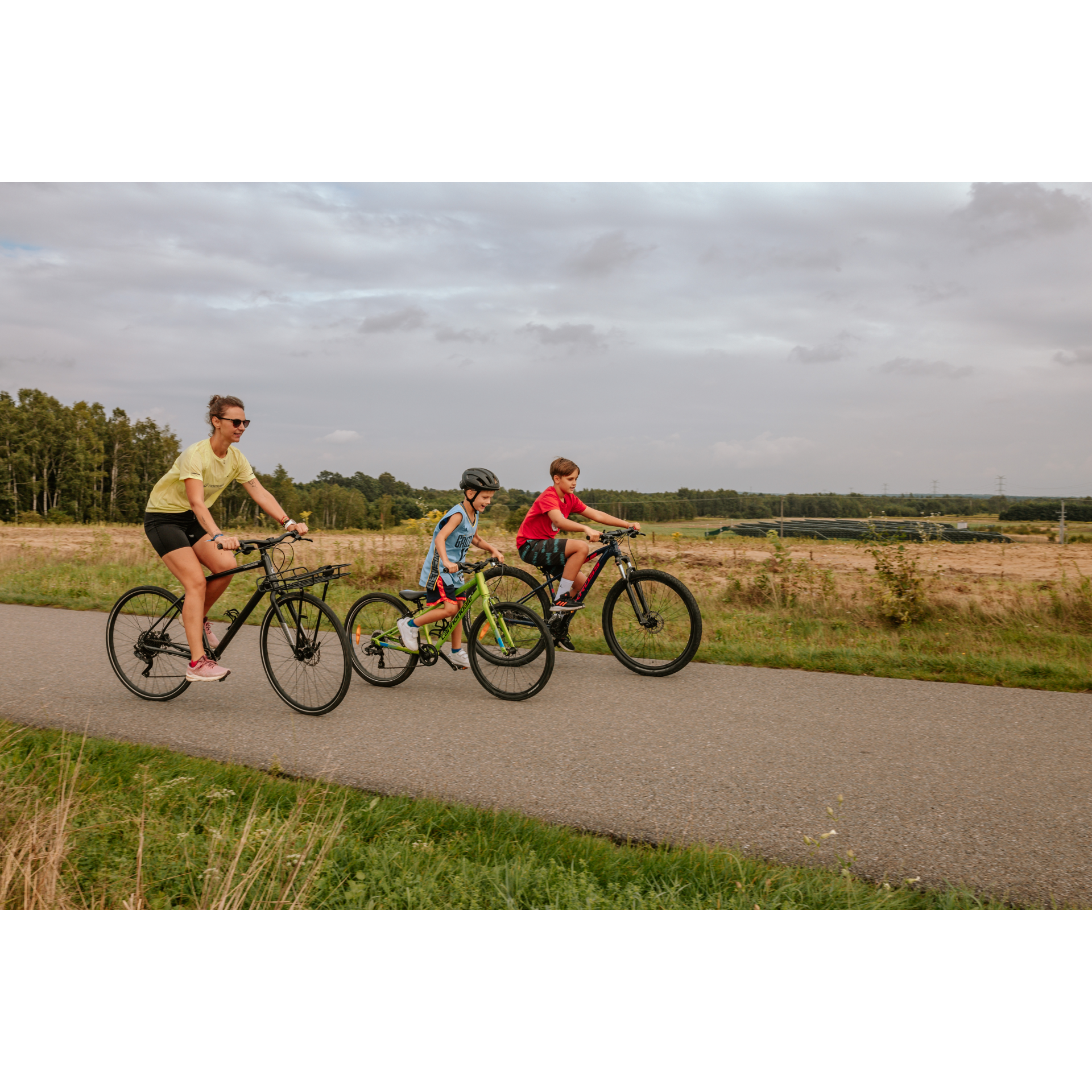 Cyclists on the road among the fields