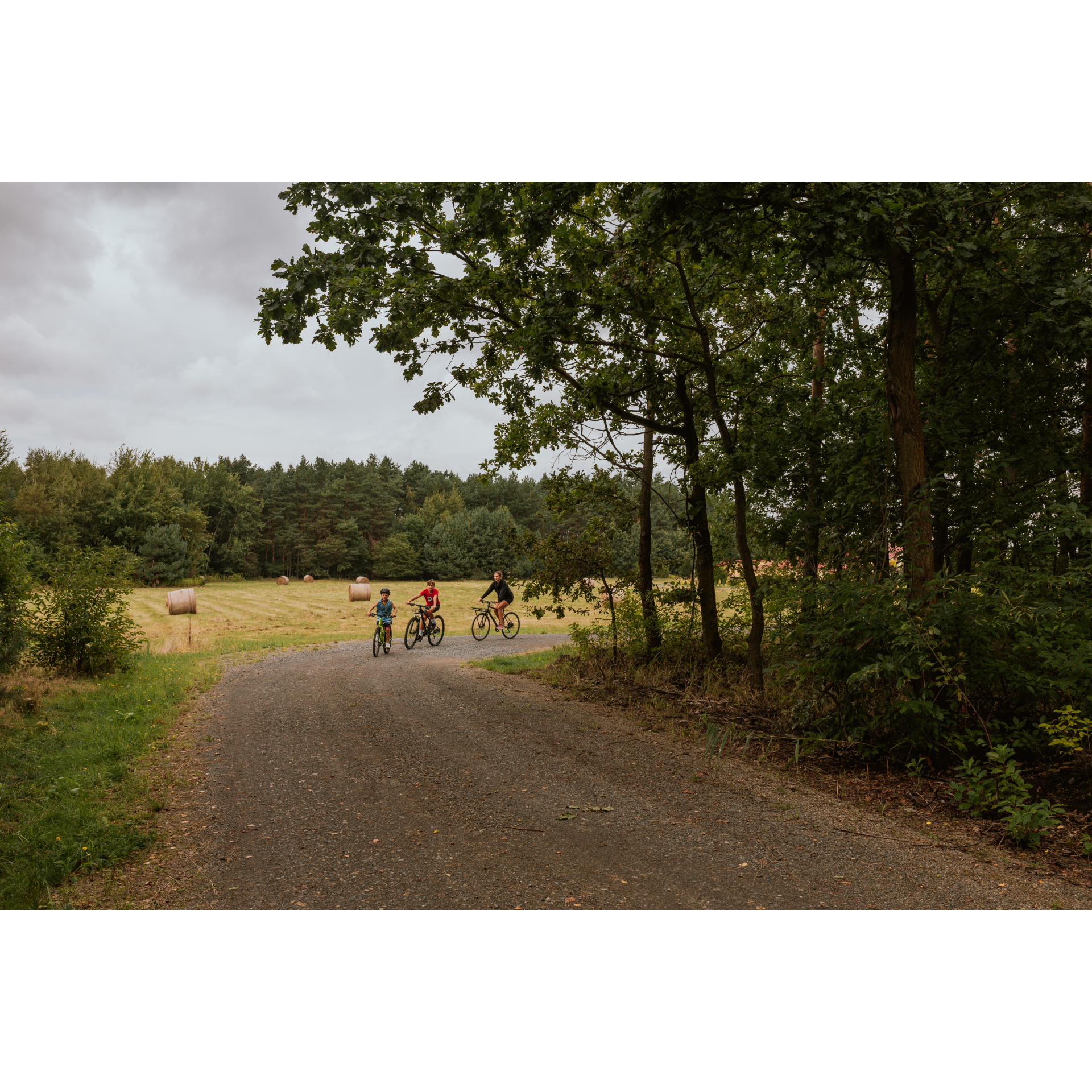 Cyclists and bales of hay