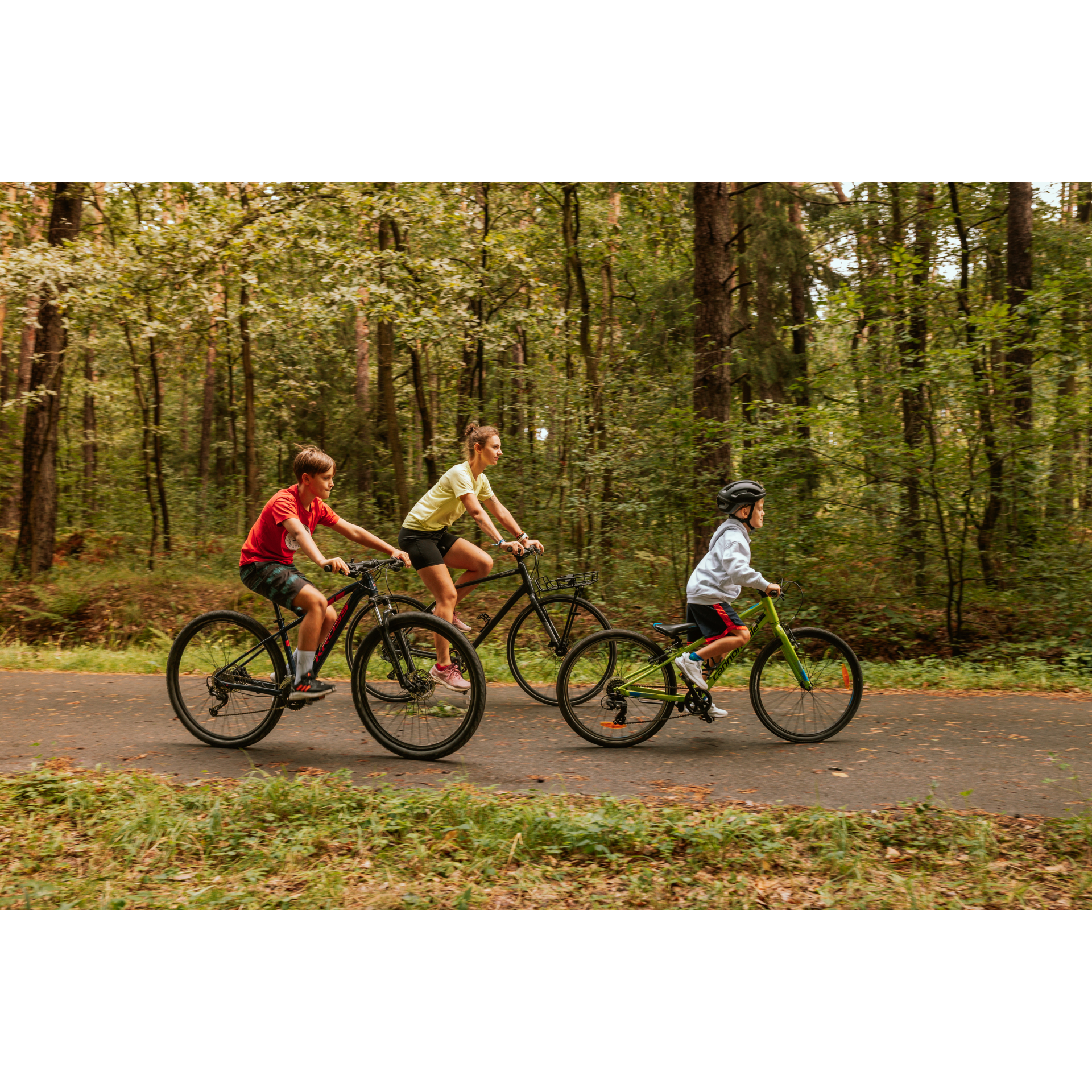 Cyclists in the forest