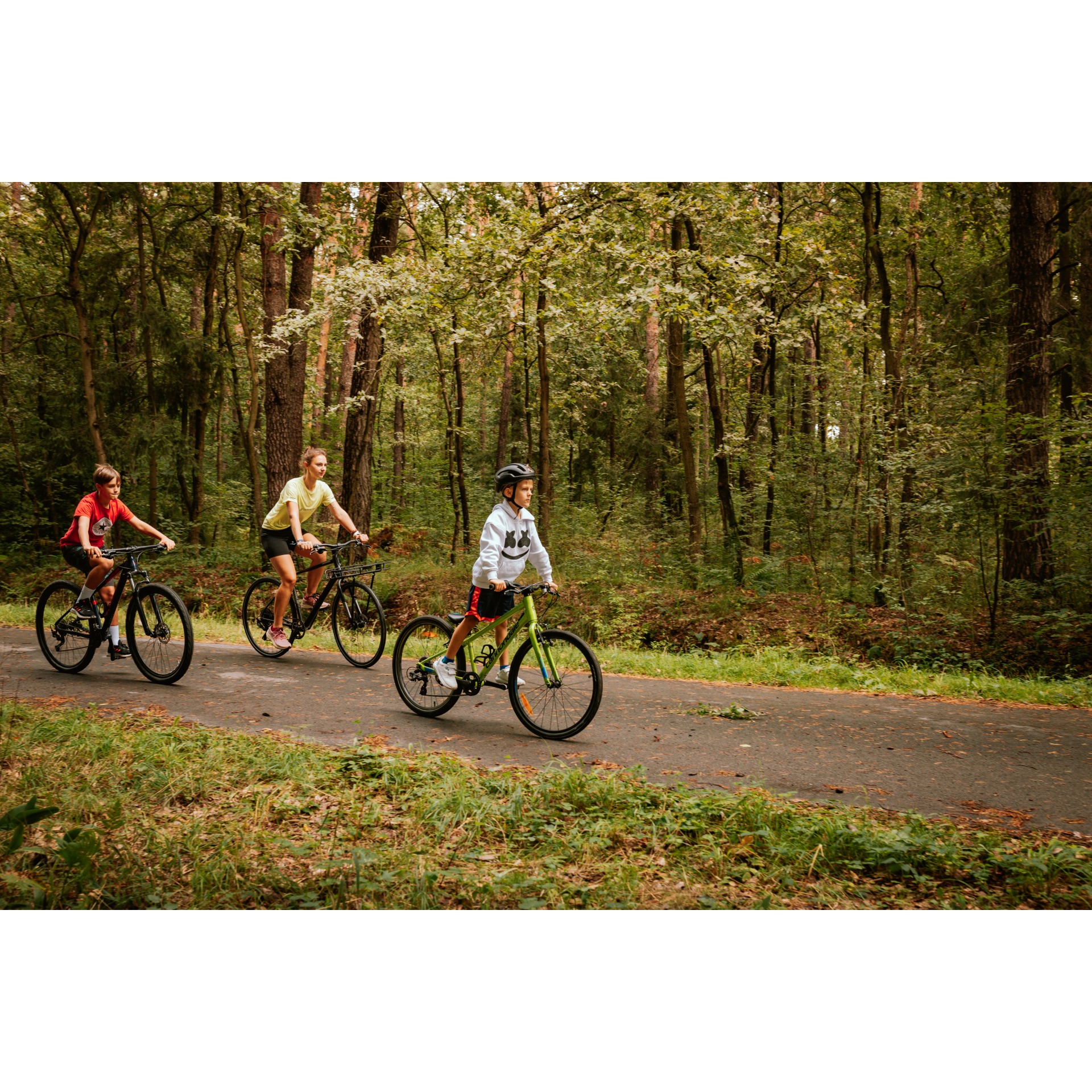 Trójka rowerzystów w lesie 