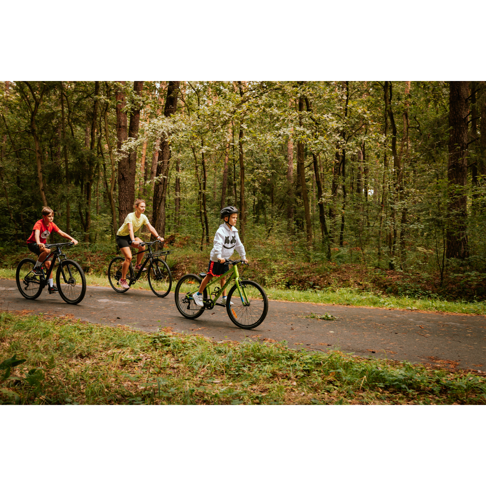 Three cyclists in the forest