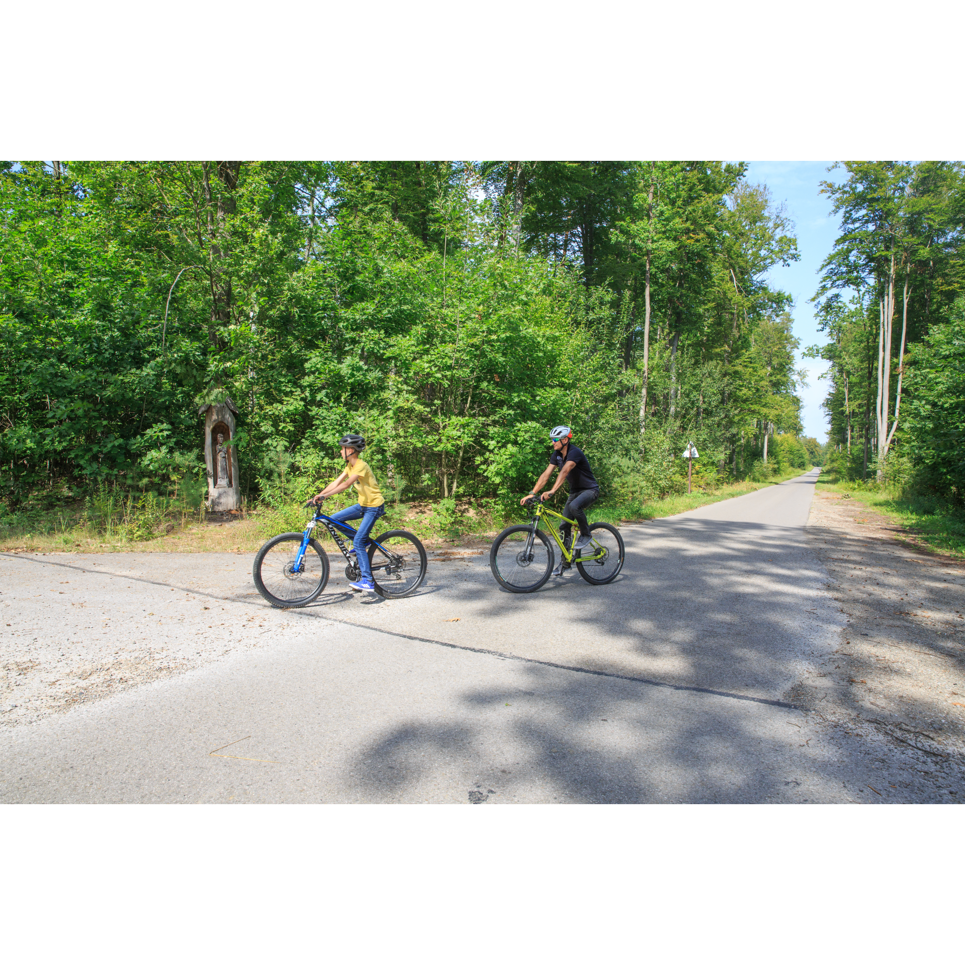 Bicycle routes in Podkarpacie