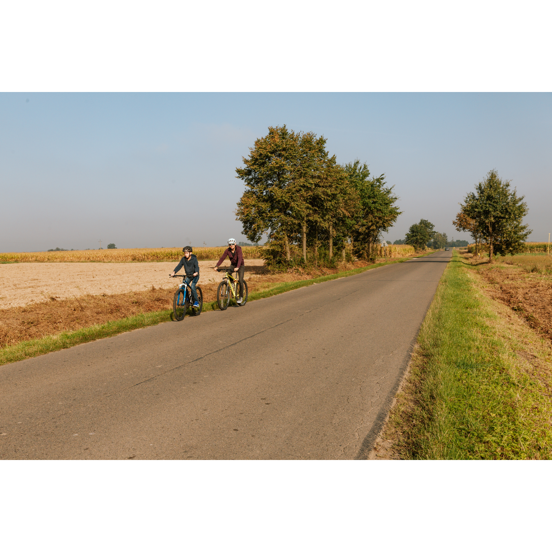 Cyclists and fields