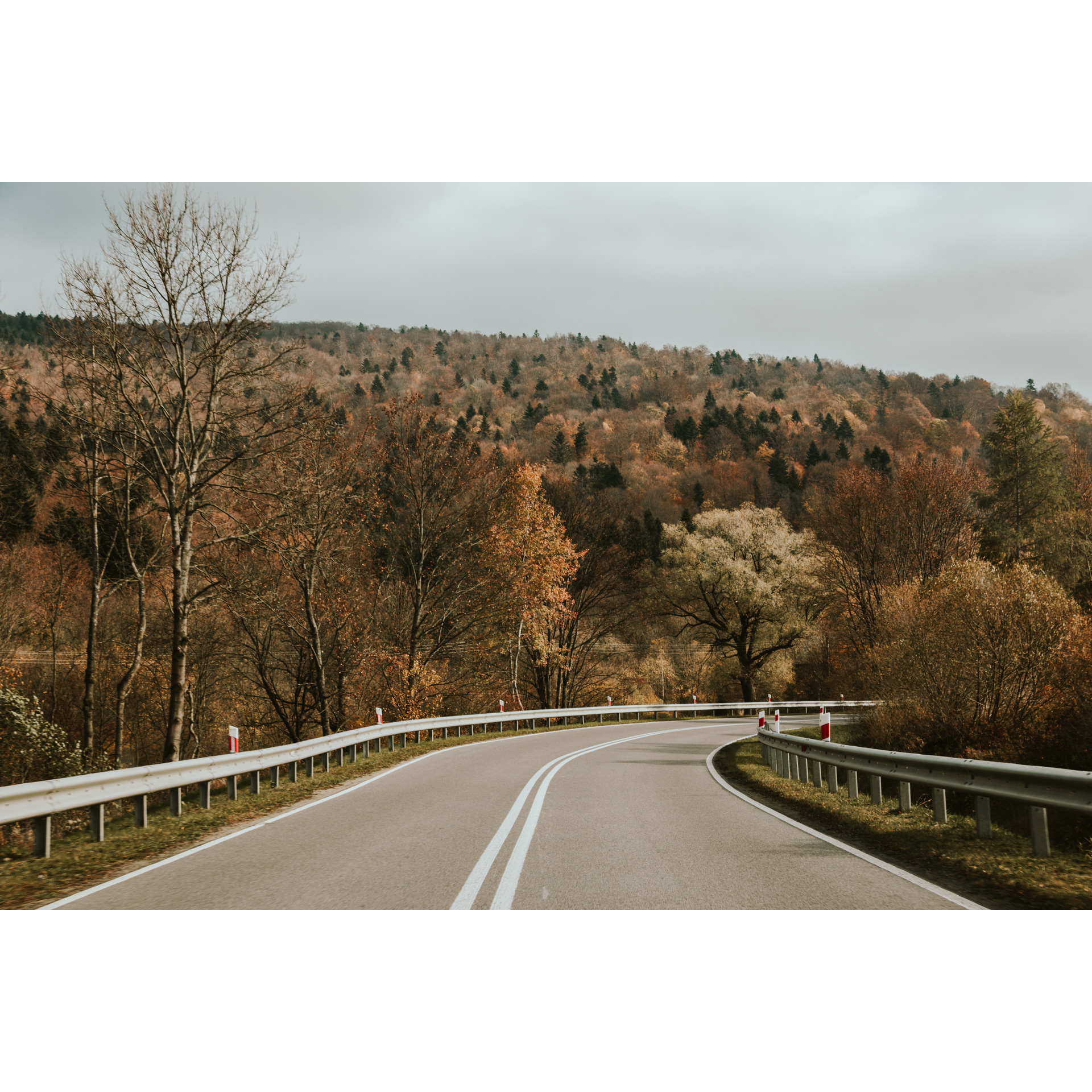 An asphalt two-lane road turning right, colorful trees in the background and trees on a hill