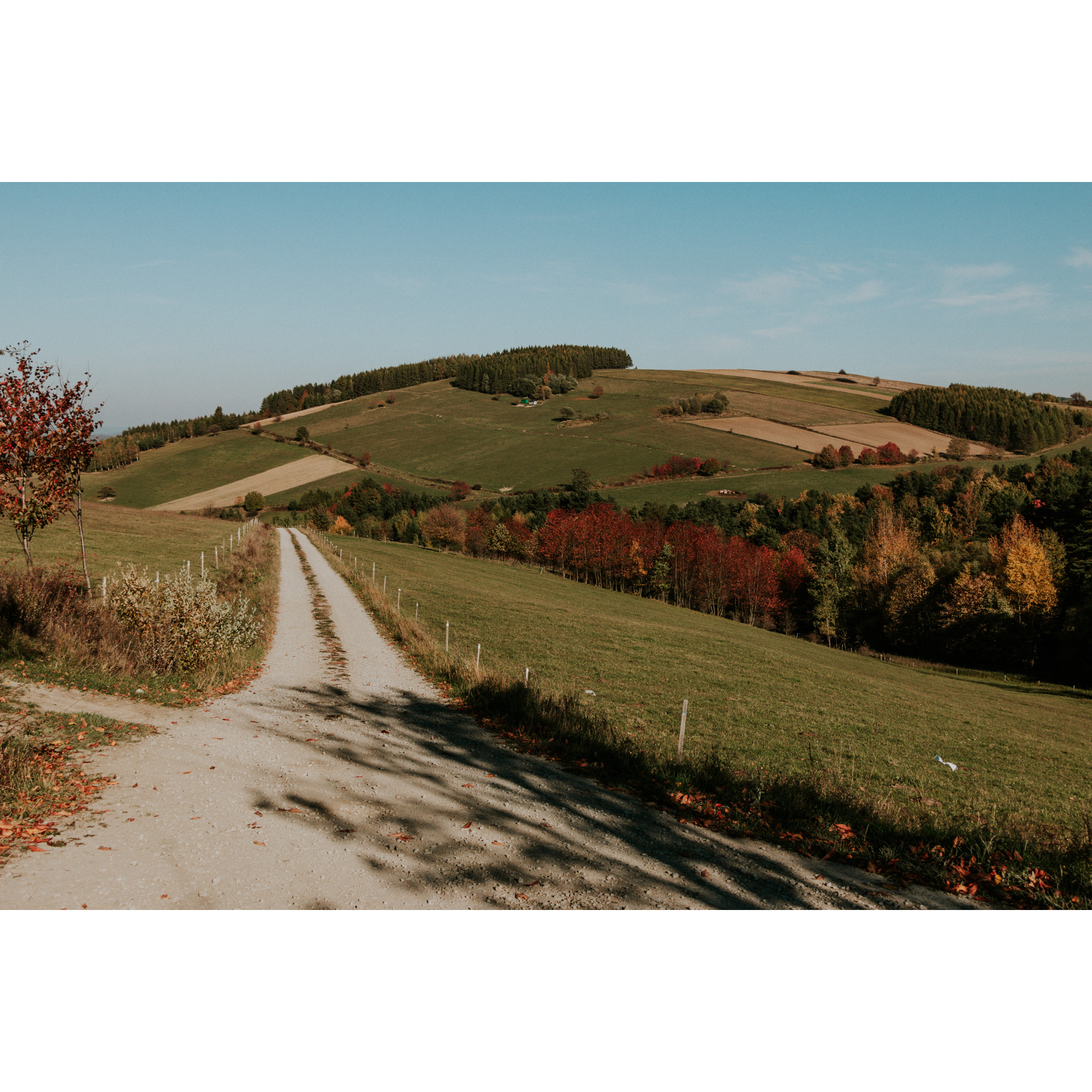 Dirt road leading up the hill