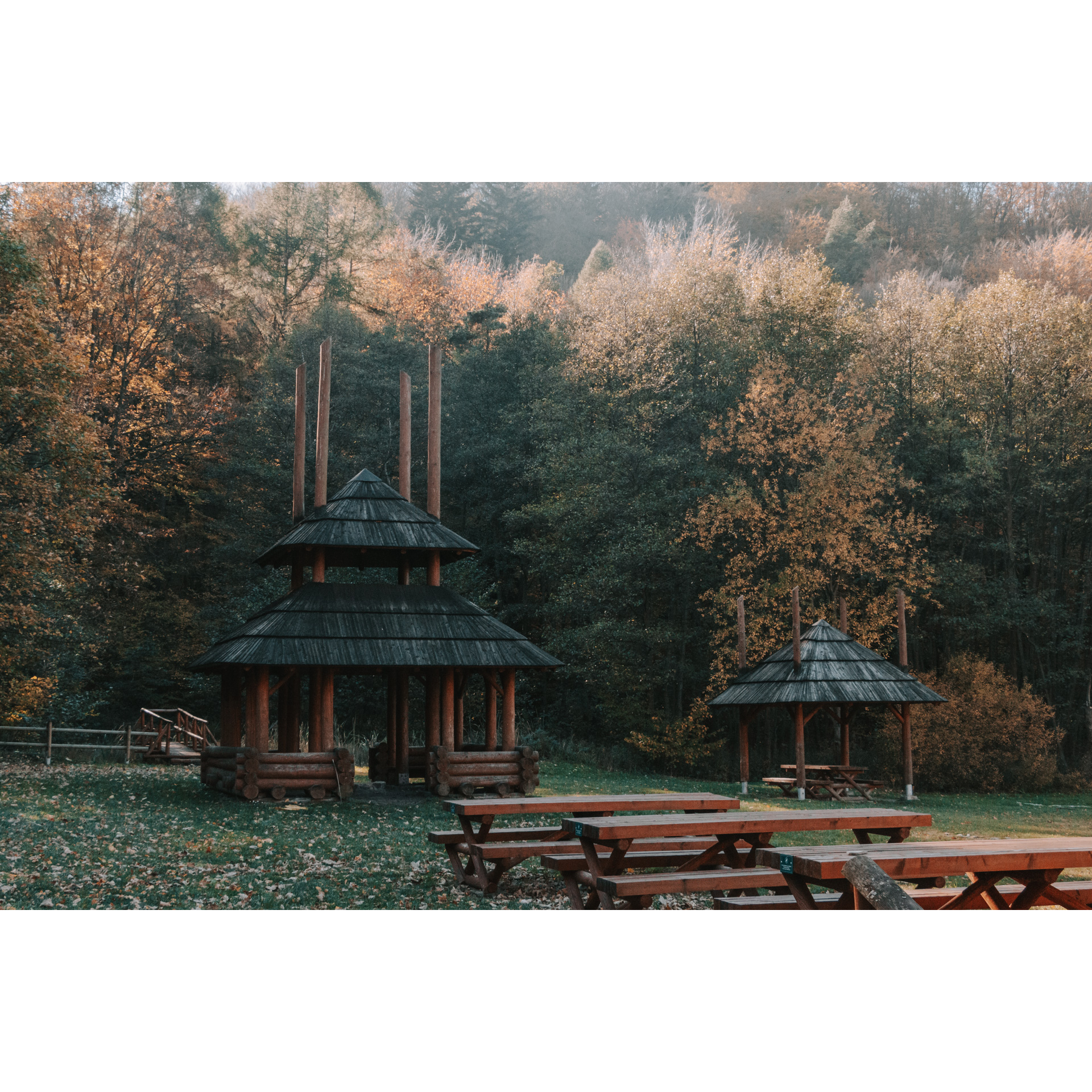 Drewniana altanka w środku lasu