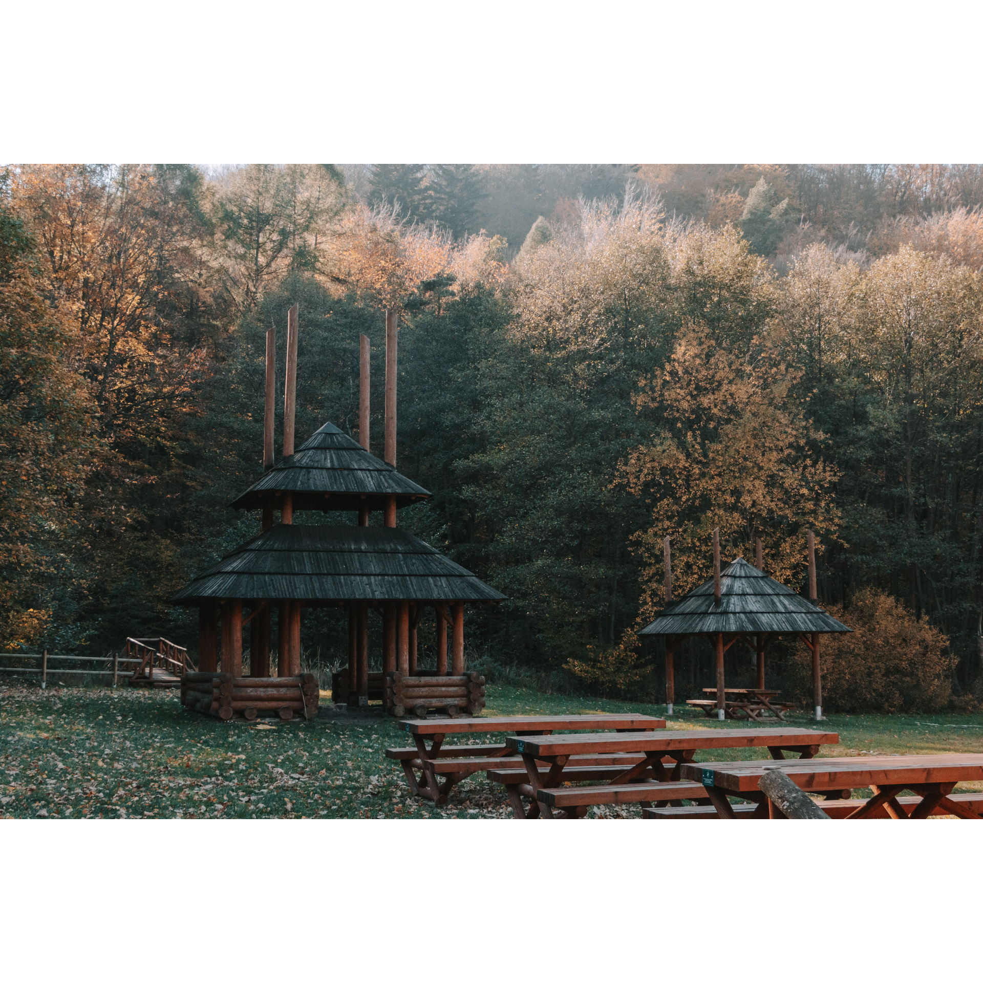 Wooden gazebo in the middle of the forest