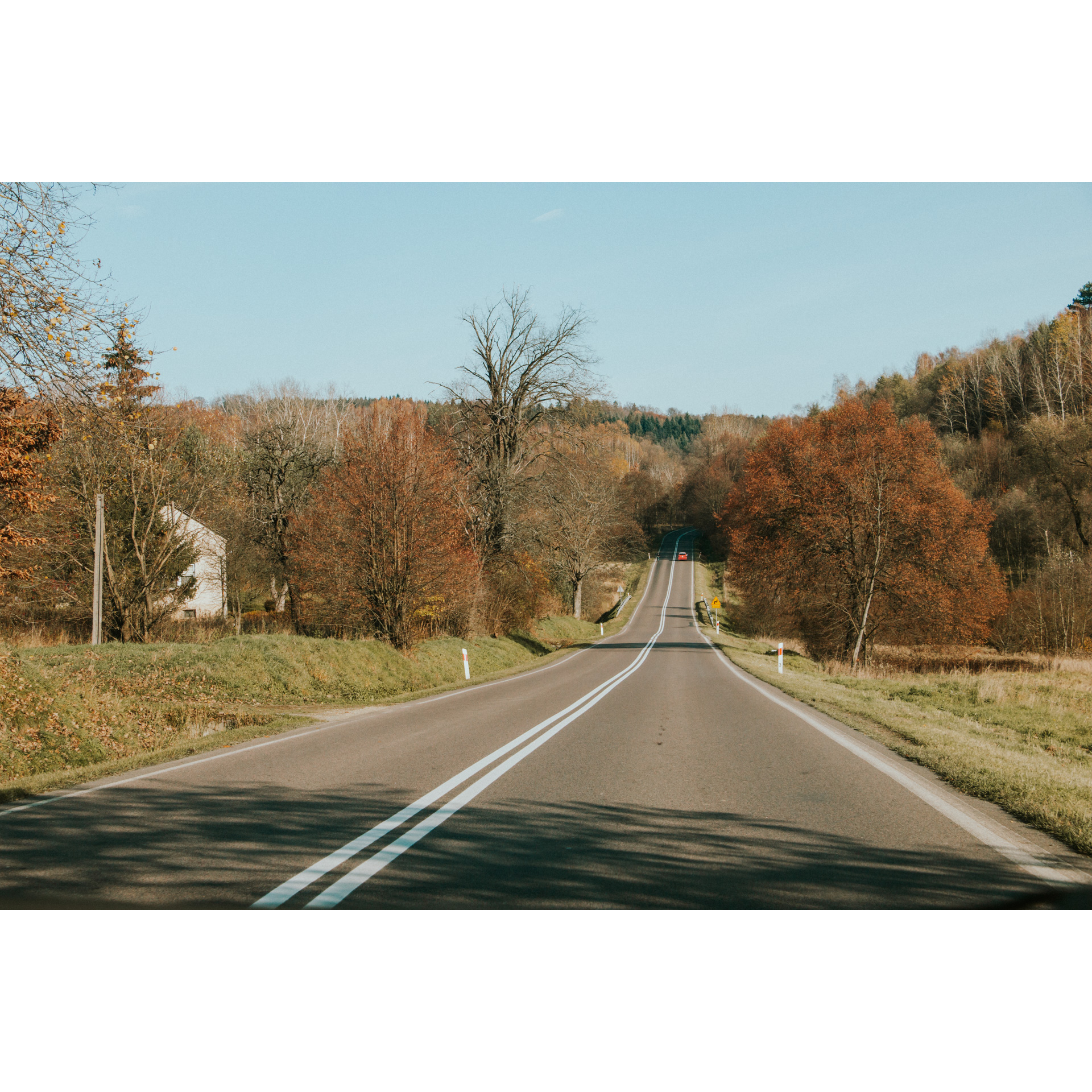 Asphalt two-lane road leading down among the trees in maroon, brown and beige colors