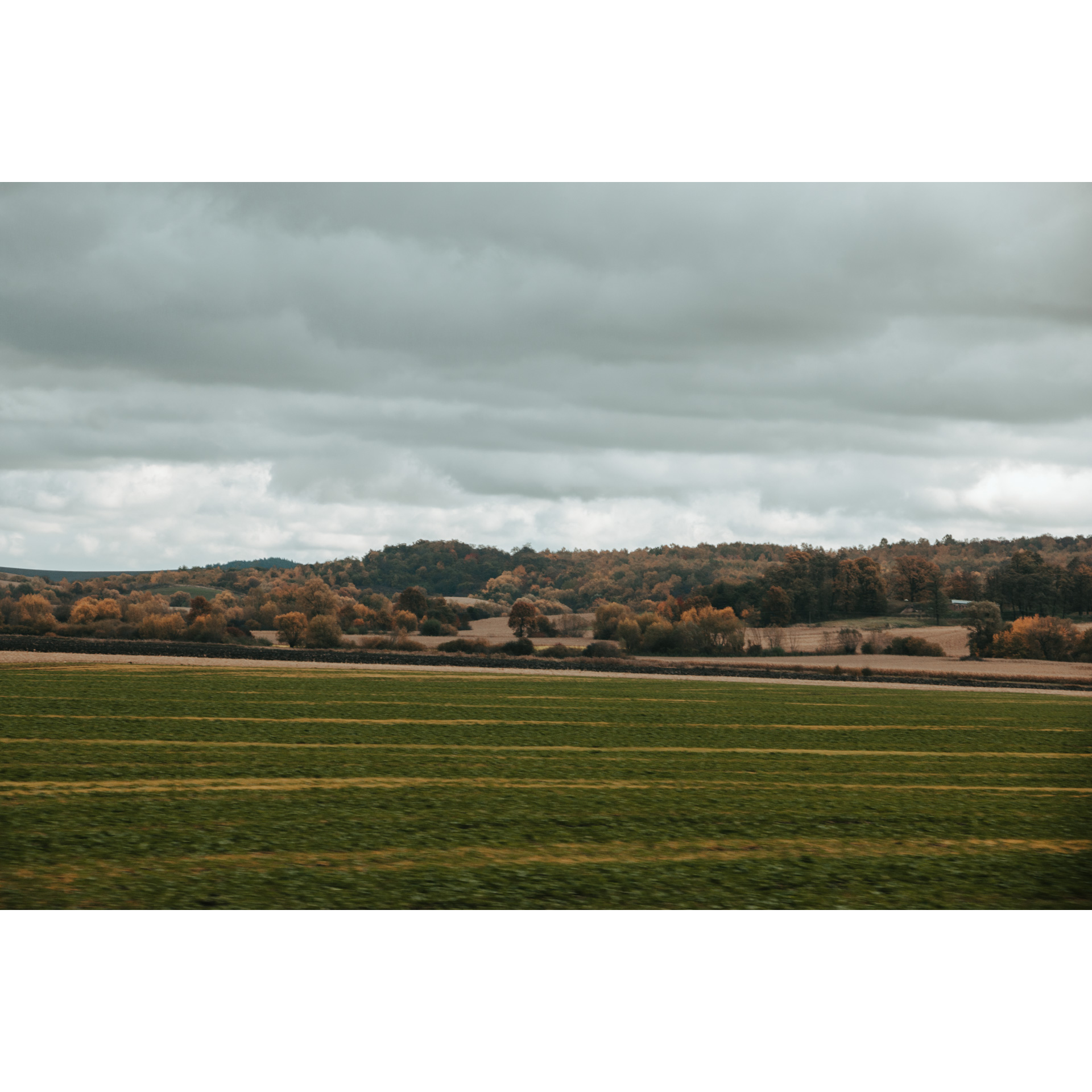 Green fields, colorful trees, hills and a gray cloudy sky in the background