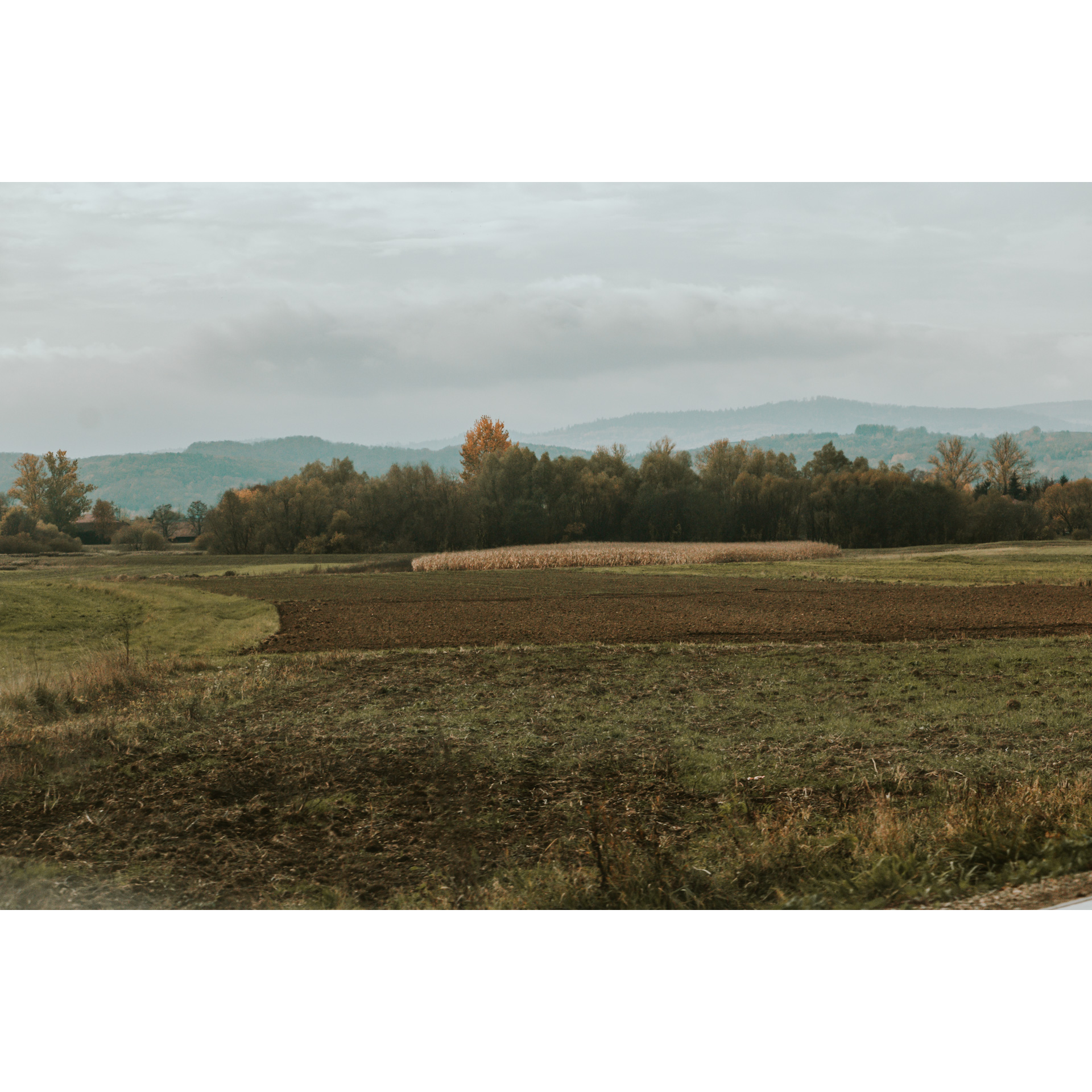 Fields and wastelands against the background of trees, hills and gray sky