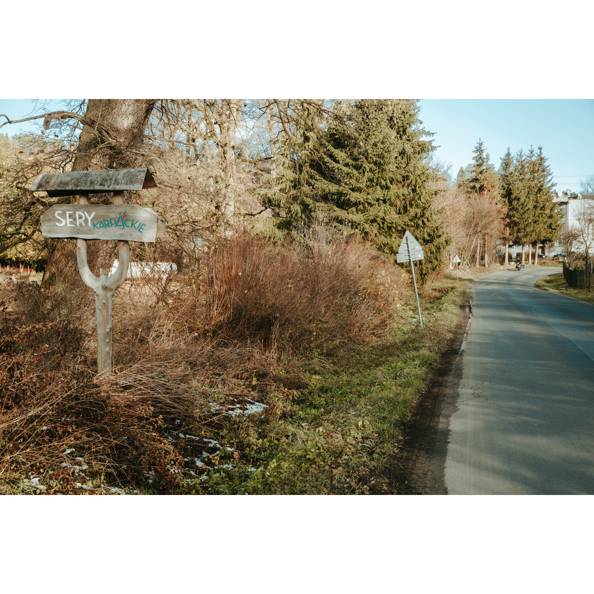 A wooden information plate with the inscription "Carpathian cheeses" on the side of an asphalt road surrounded by trees and bushes