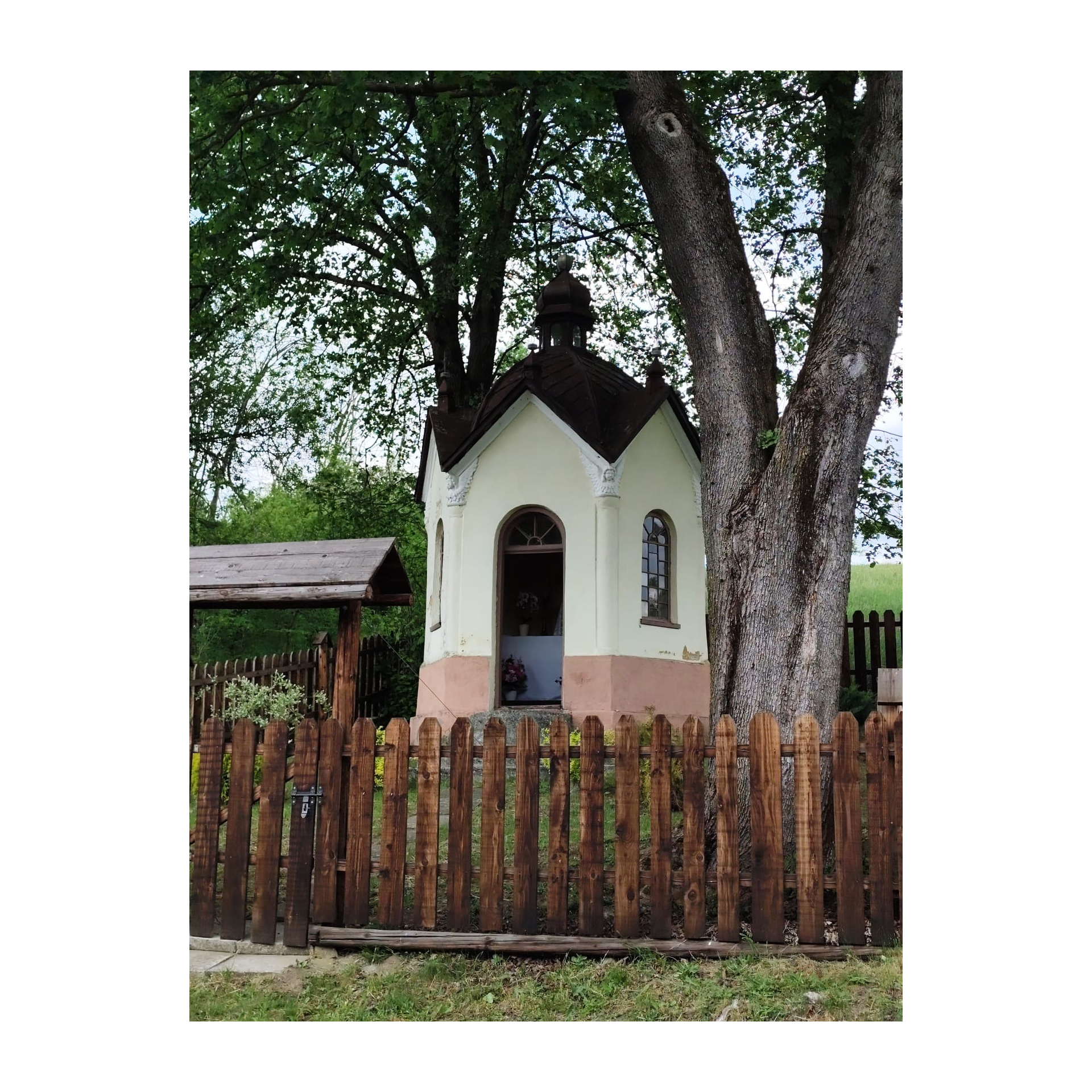 Kapliczka z kopułką wśród drzew, za drewnianym płotem, w zielonym, wiejskim otoczeniu.