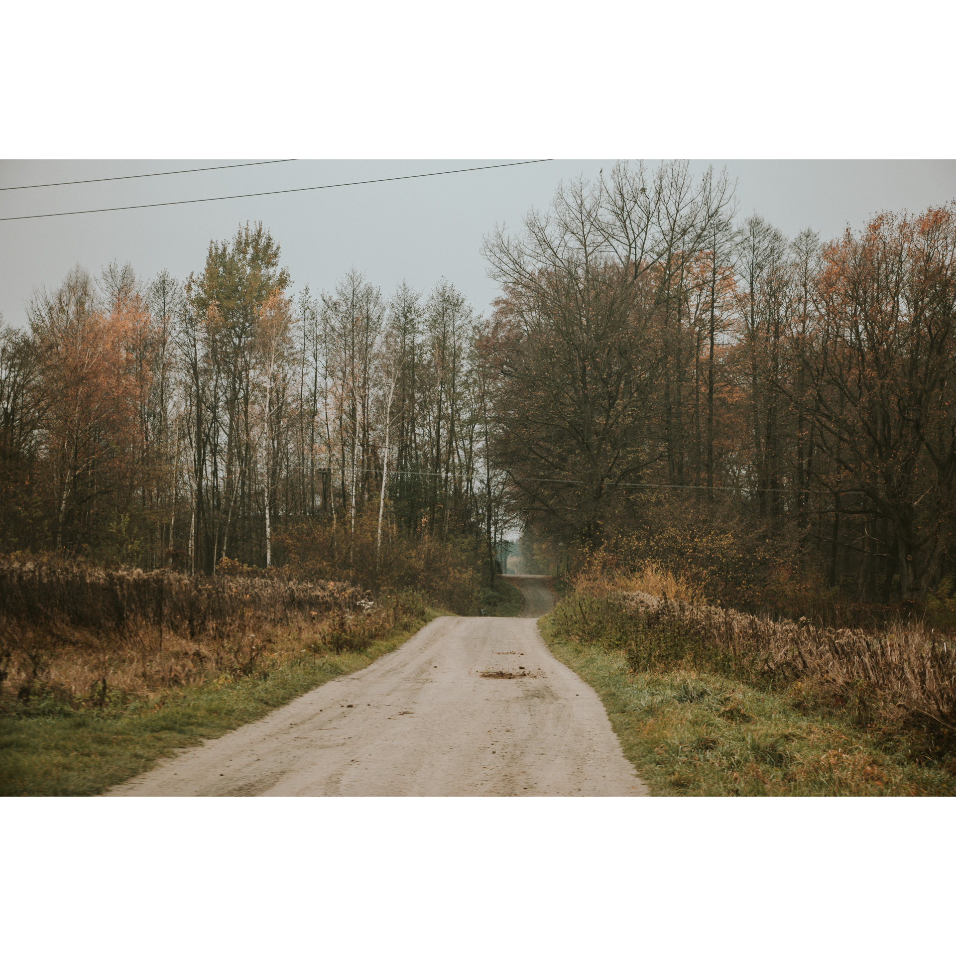 A sandy, bumpy road leading along glades, meadows and red-brown trees