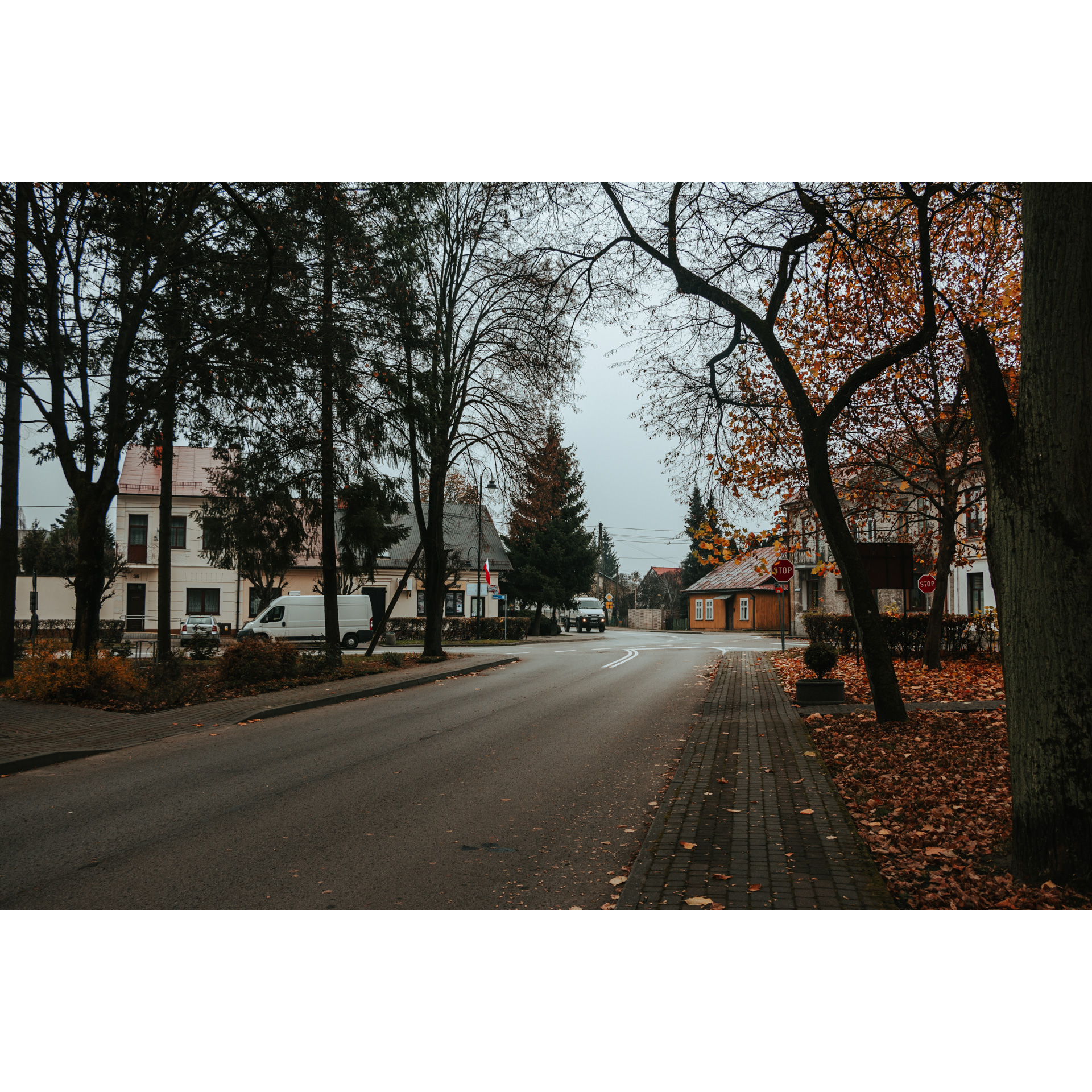 Asfaltowa alejka między drzewami prowadząca do skrzyżowania, na poboczu chodnik i brązowe liście, w tle budynki i samochody