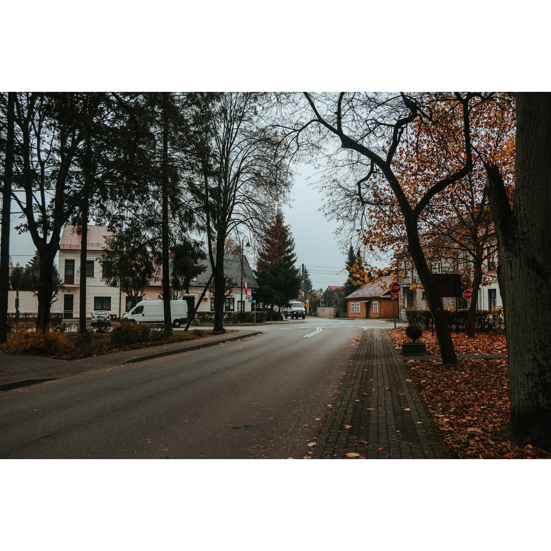 Asphalt alley between trees leading to a crossroads, a sidewalk and brown leaves on the roadside, buildings and cars in the background