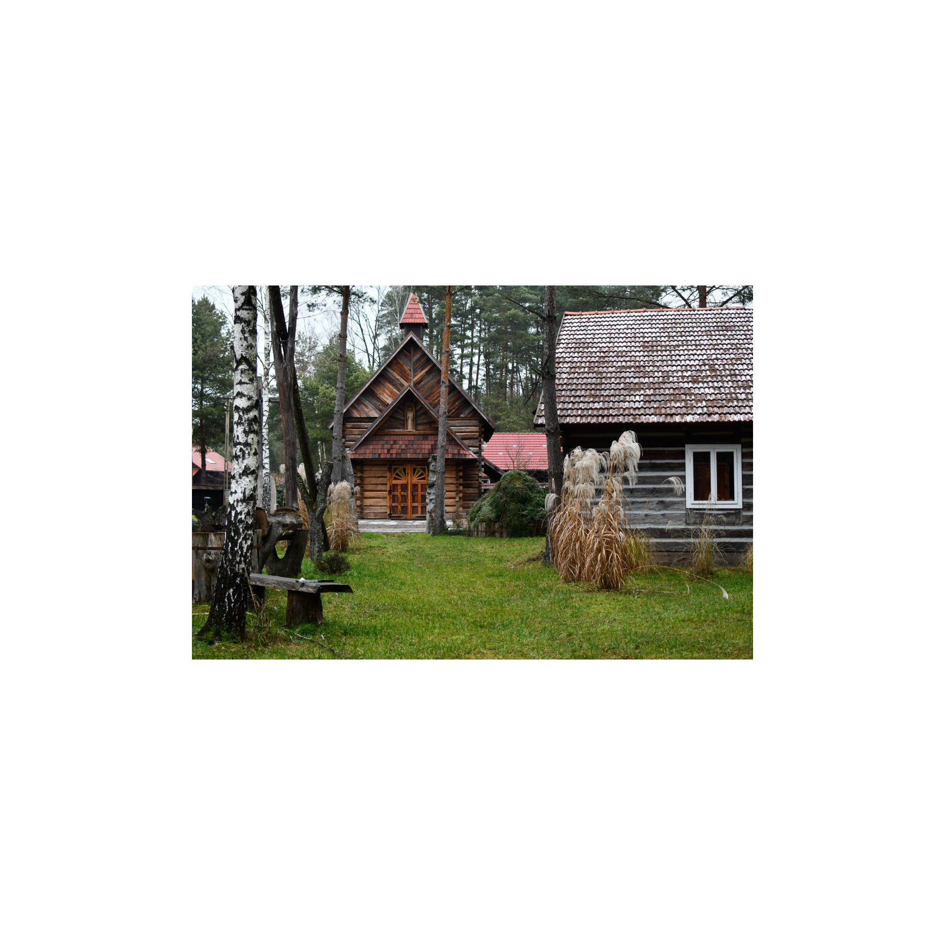 Drewniany kościół z wieżyczką i czerwonym dachem na zielonej trawie w otoczeniu drewnianych budynków i drzew