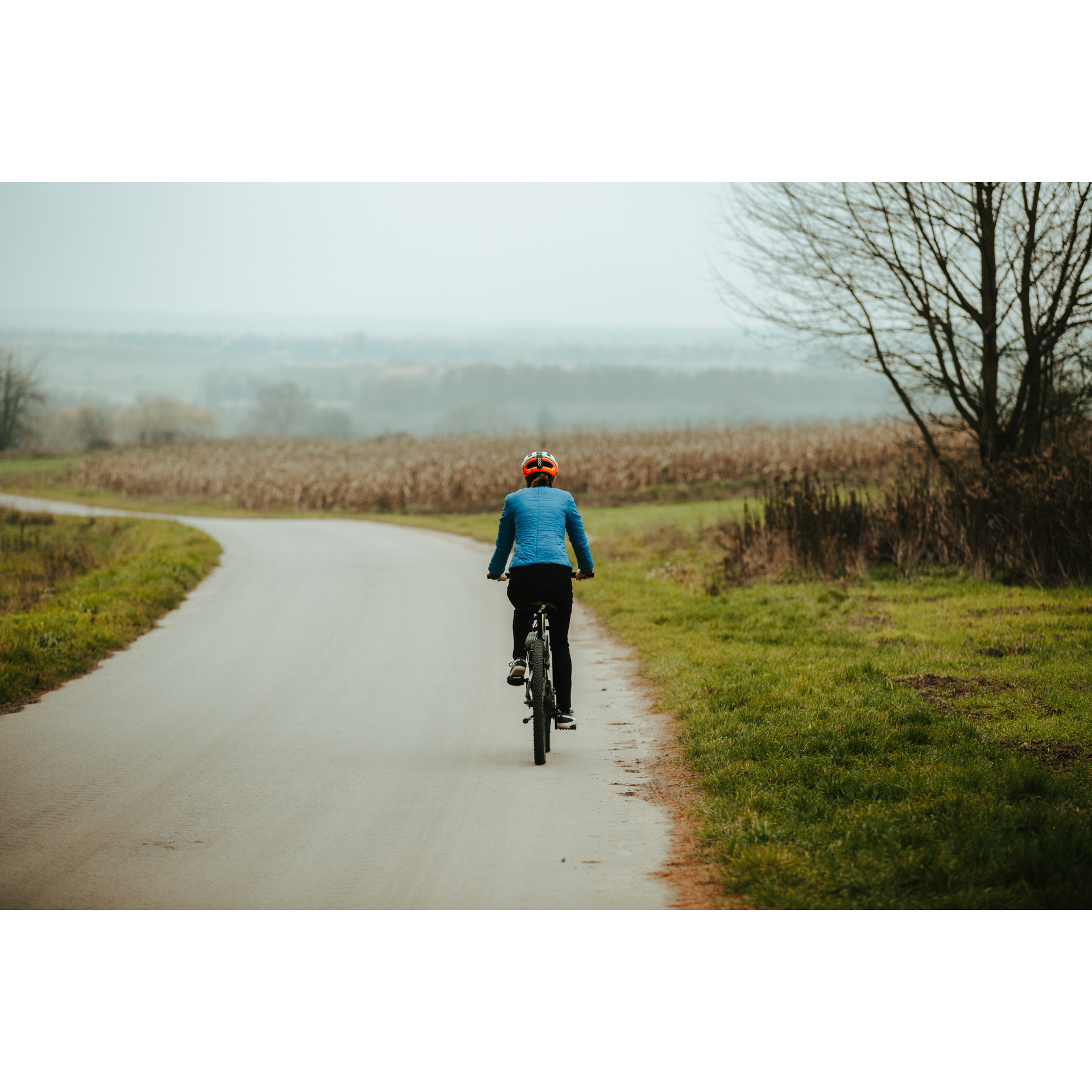 A cyclist in a blue jacket and helmet cycling along an asphalt road towards meadows and corn fields, in the background a foggy sky