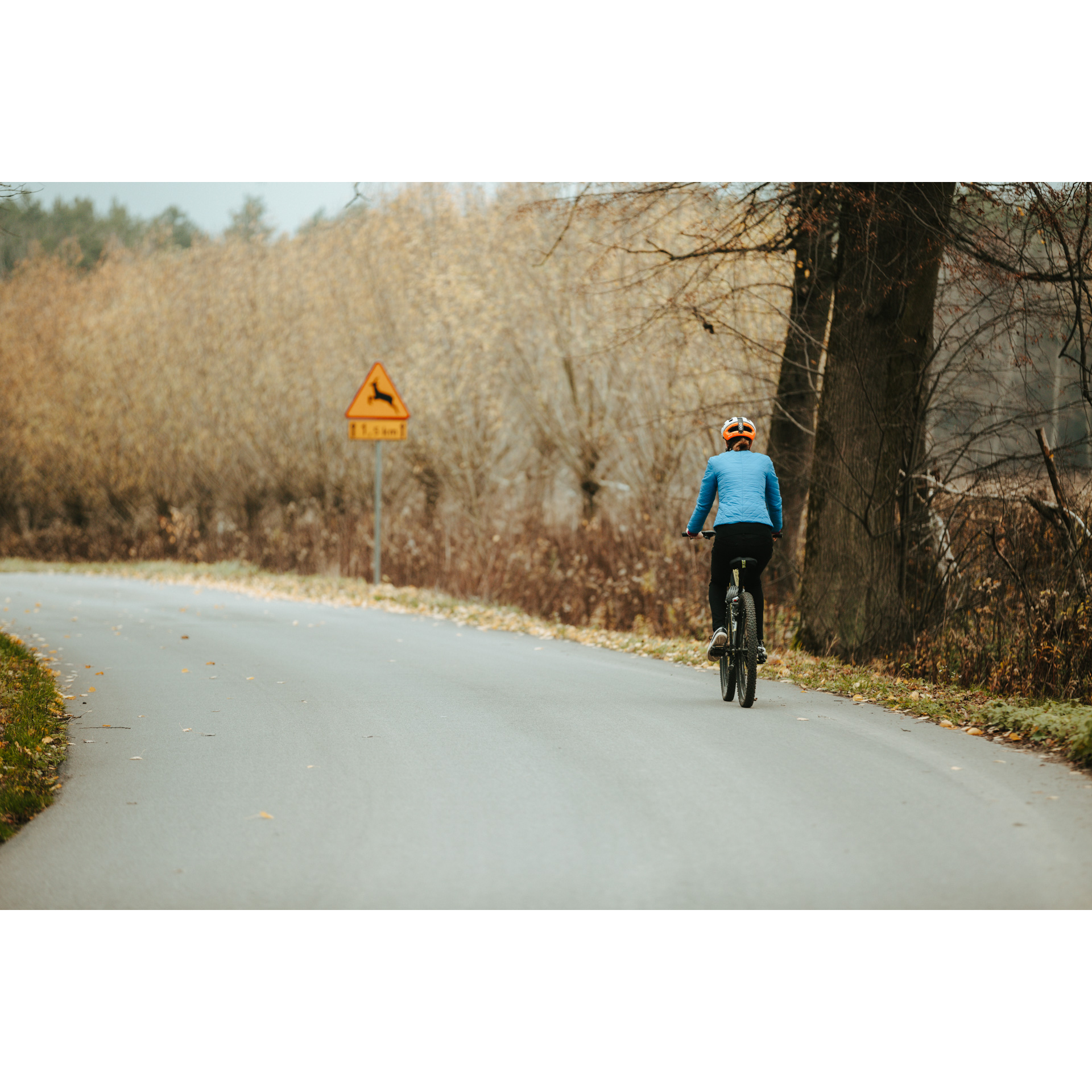Rowerzystka w niebieskiej kurtce i kasku jadąca rowerem asfaltową drogą z licznymi krzakami na poboczu, mijająca grube pnie drzew