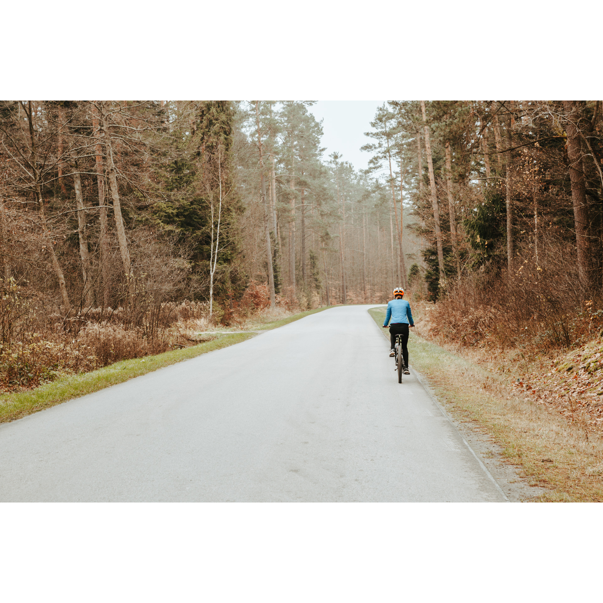 A cyclist in a blue jacket and a white helmet cycling along an asphalt road among brown-golden trees and bushes