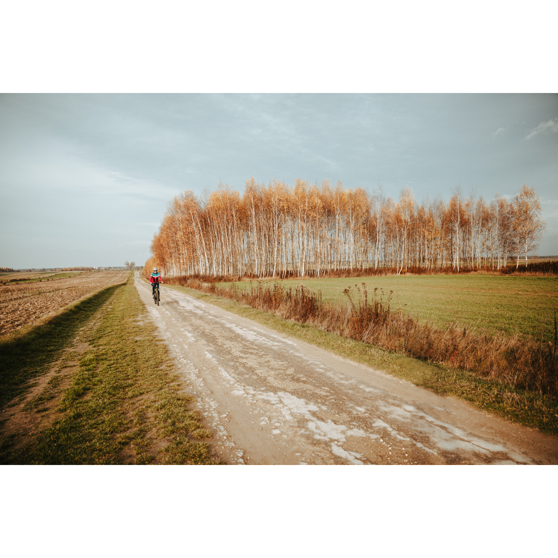 Rowerzystka w czerwono-niebieskiej kurtce i kasku jadąca rowerem po drodze polnej