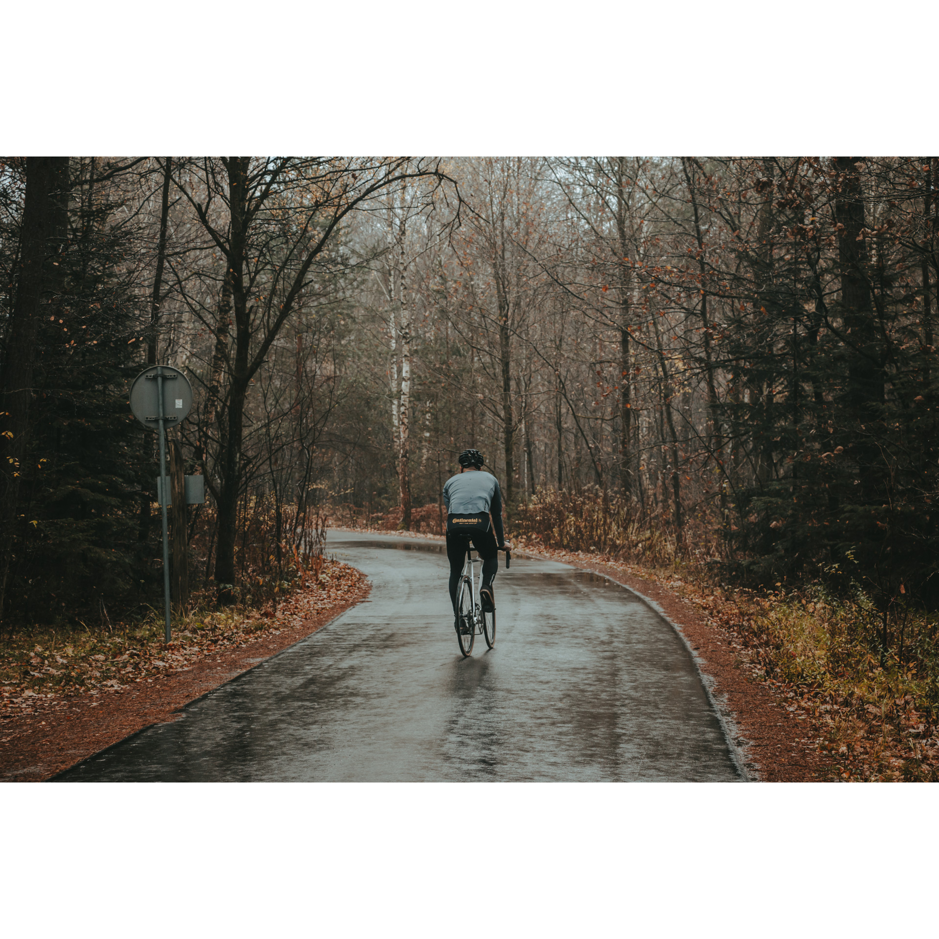 Kolarz w szaro-czarnym stroju i kasku jadący rowerem po leśnej, mokrej, asfaltowej drodze