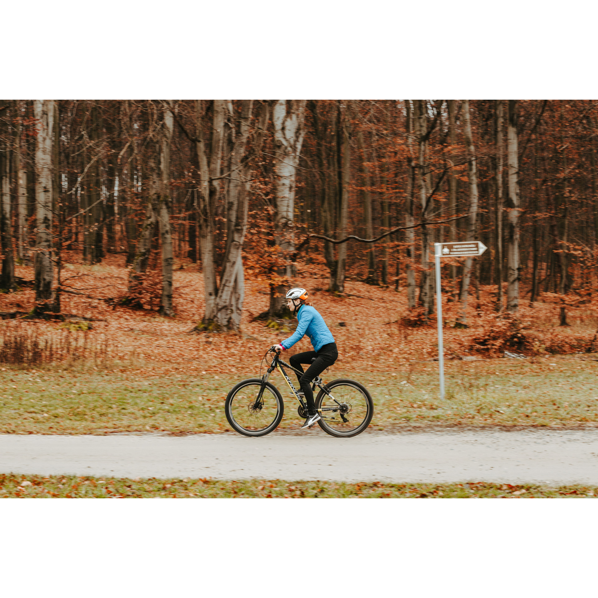 Rowerzystka w niebieskiej kurtce i kasku jadąca asfaltową drogą na rowerze, w tle pnie drzew i brązowa od opadniętych liści trawa