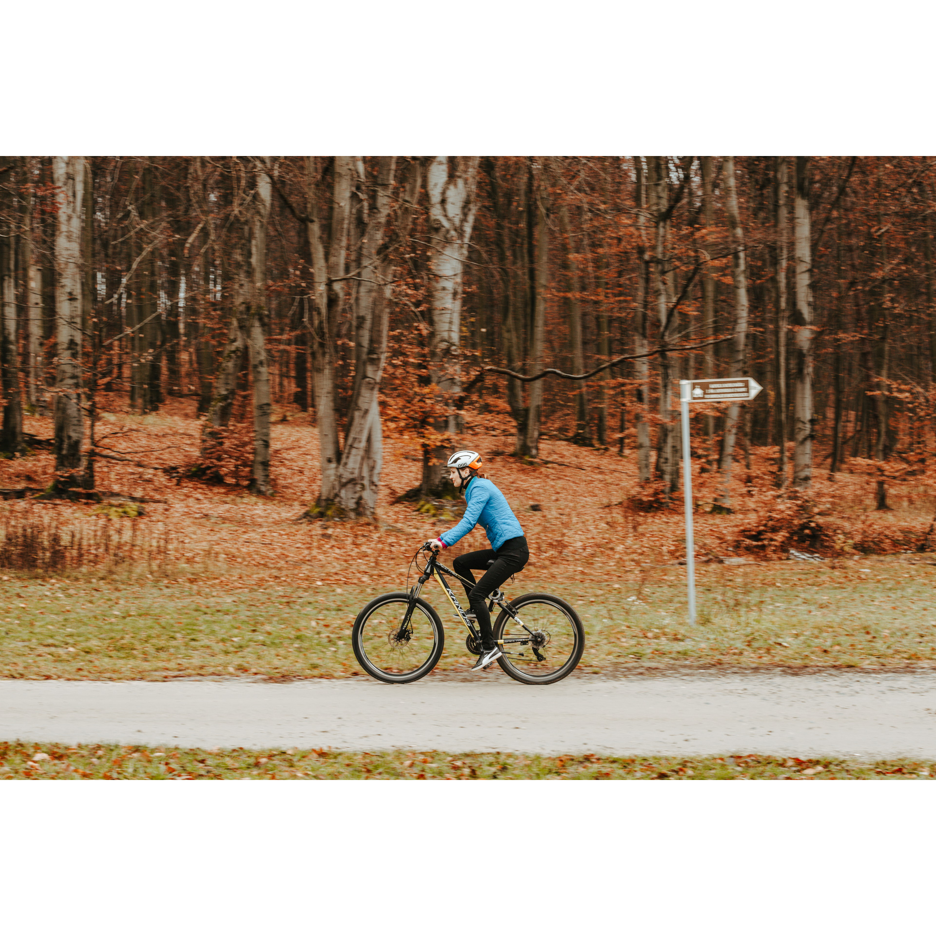 A cyclist in a blue jacket and helmet riding an asphalt road on a bicycle, tree trunks and grass brown from fallen leaves in the background