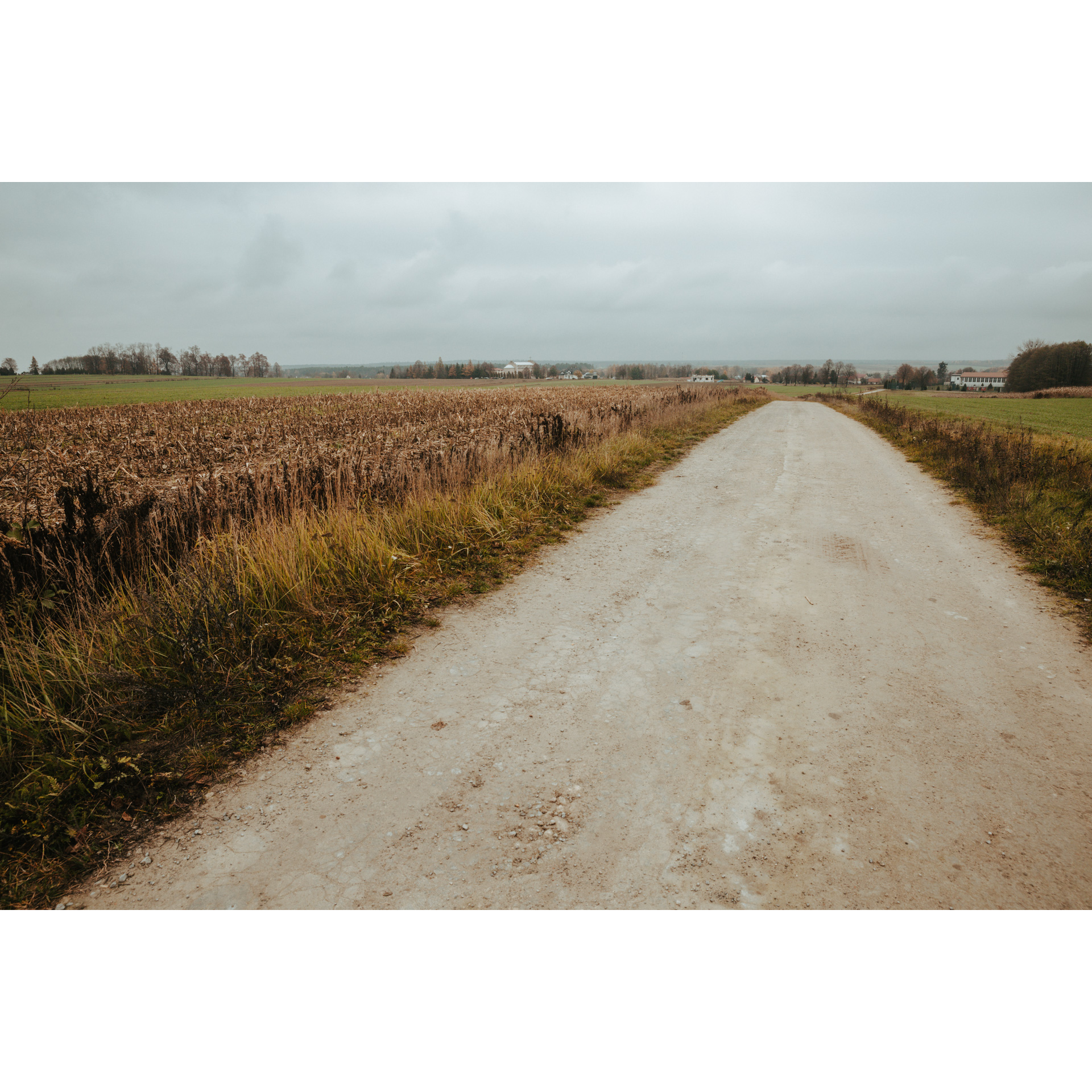 A sandy road running among fields and meadows, the gray sky in the background