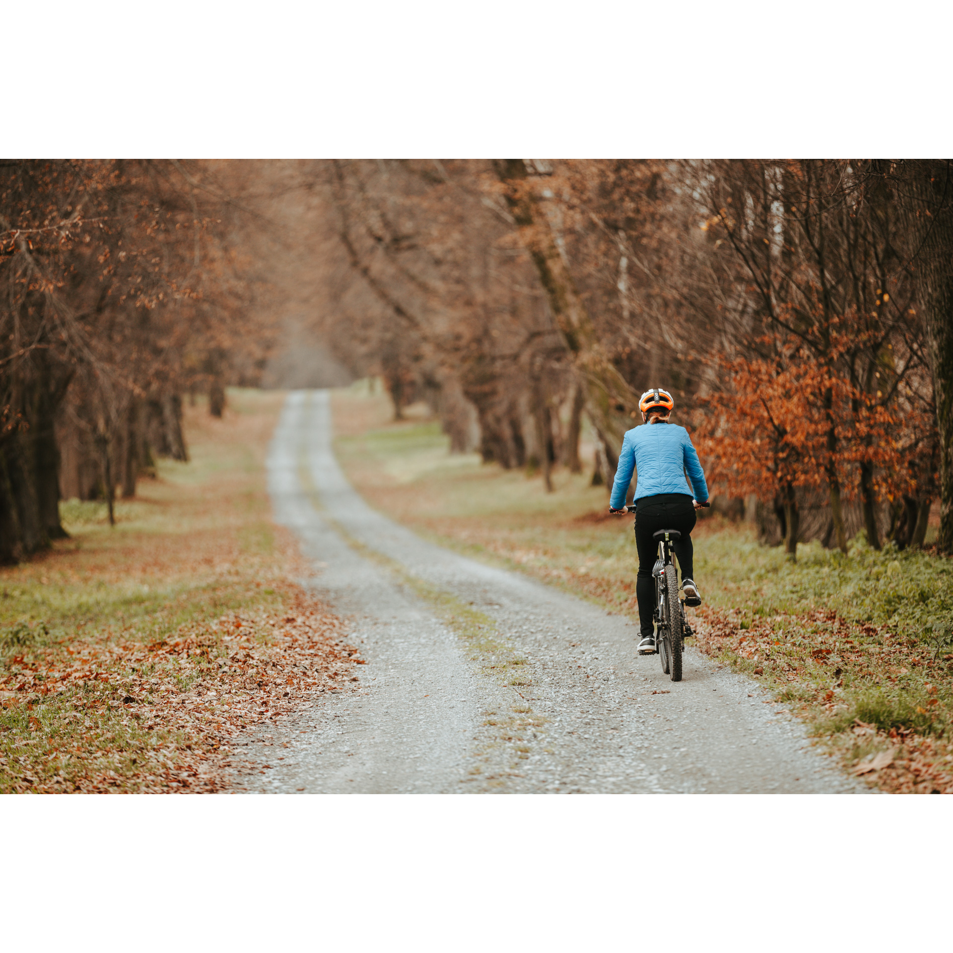 Rowerzystka w niebieskiej kurtce i kasku jadąca rowerem po kamienistej alei między brązowo-rudymi drzewami