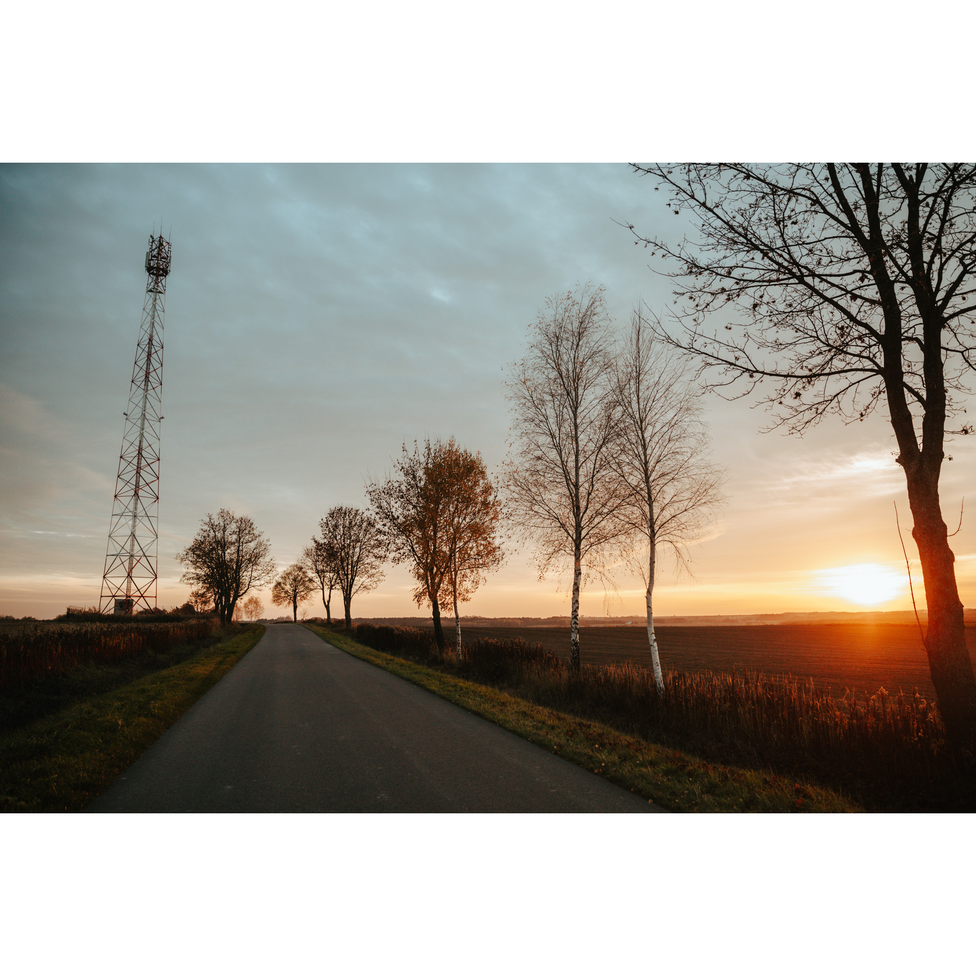 Asphalt road with a few trees on the roadside to the right and a metal pole to the left, orange setting sun in the background