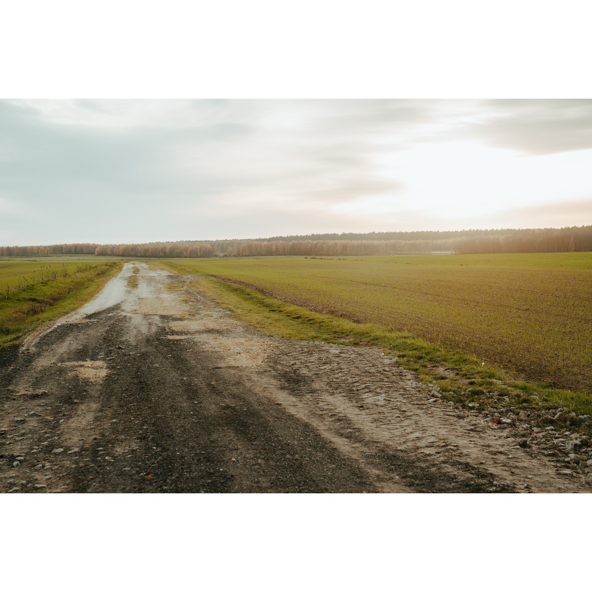 Sandy dirt road