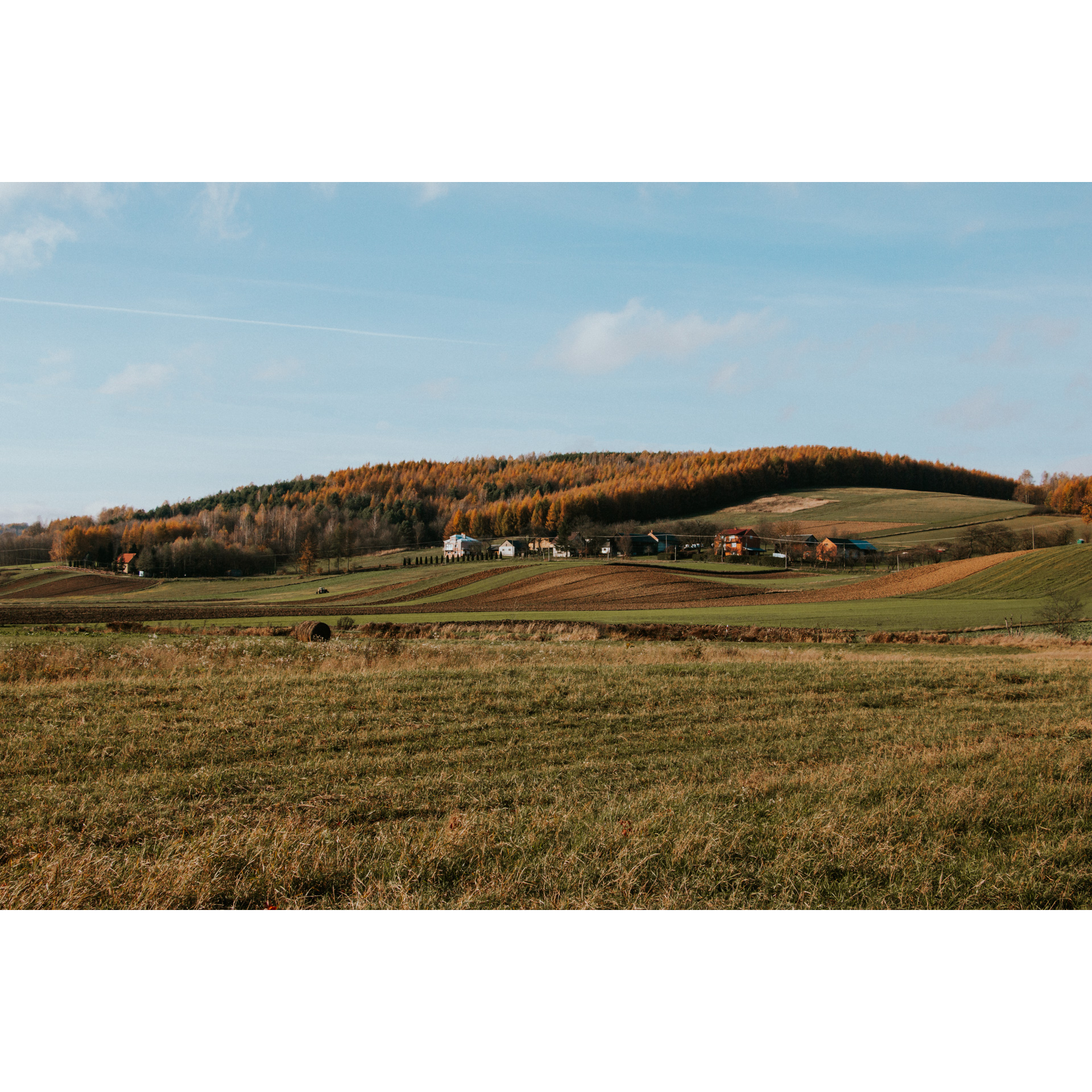 A view of the green glades, farm buildings and a hill covered with trees in the background, and the blue sky