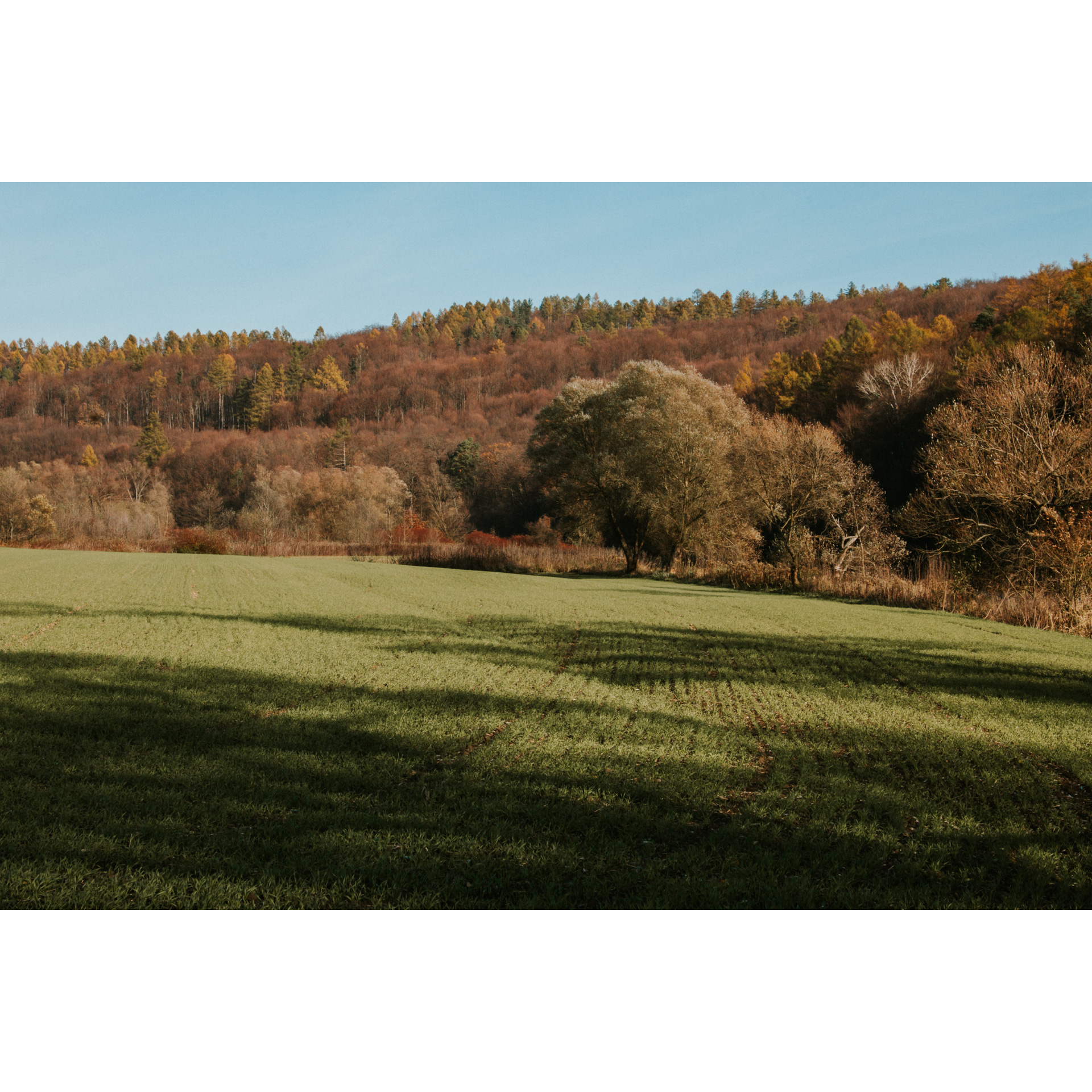 A view of green glades, trees and bushes on the hills in the distance