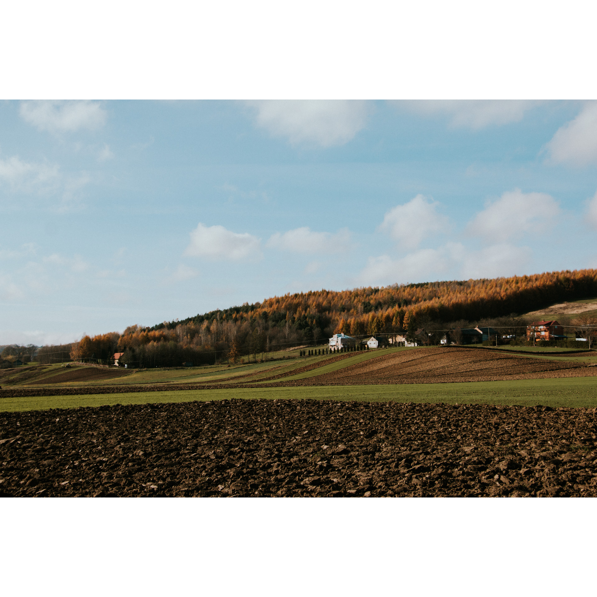 View of the fields and green glades, in the background farm buildings and a hill covered with trees and the blue sky