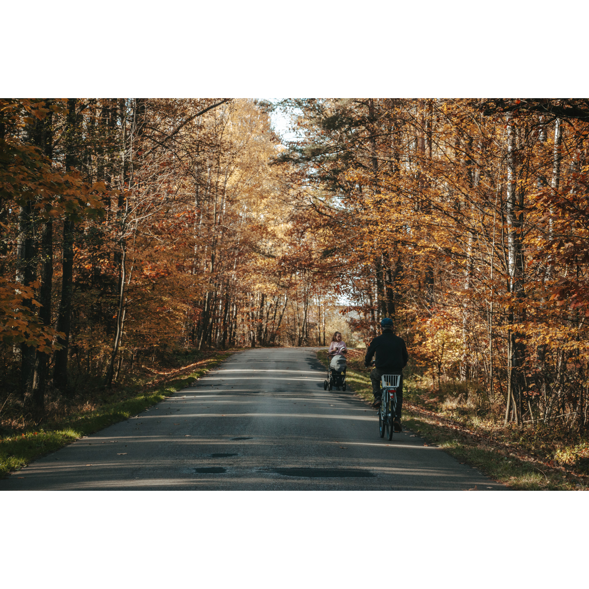 A man on a bicycle riding an asphalt road through a forest among tall trees, heading towards a woman with a baby carriage