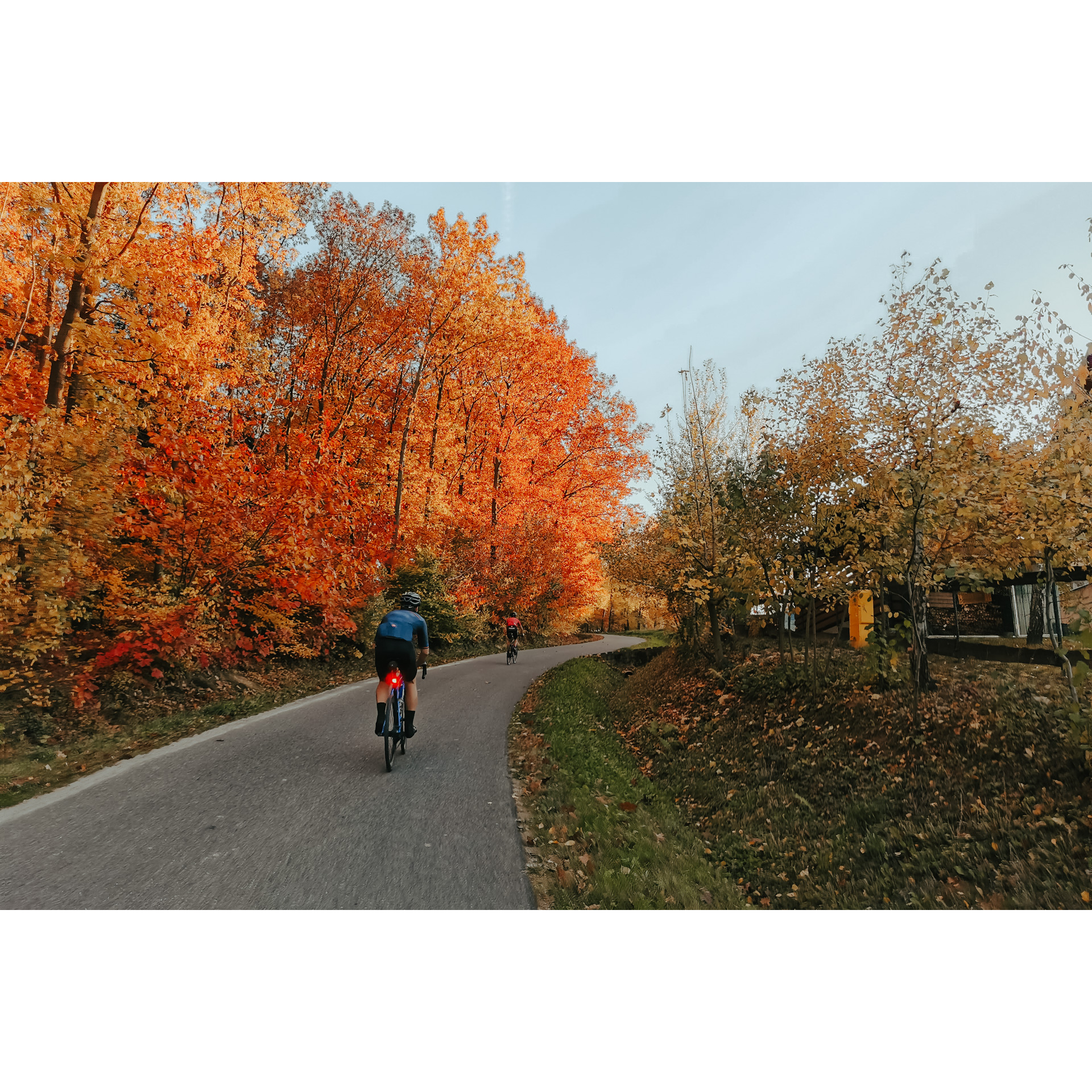Dwóch rowerzystów w kaskach i strojach kolarskich jadących na rowerach asfaltową drogą wzdłuż alejki pomarańczowo-czerwono-żółtych drzew