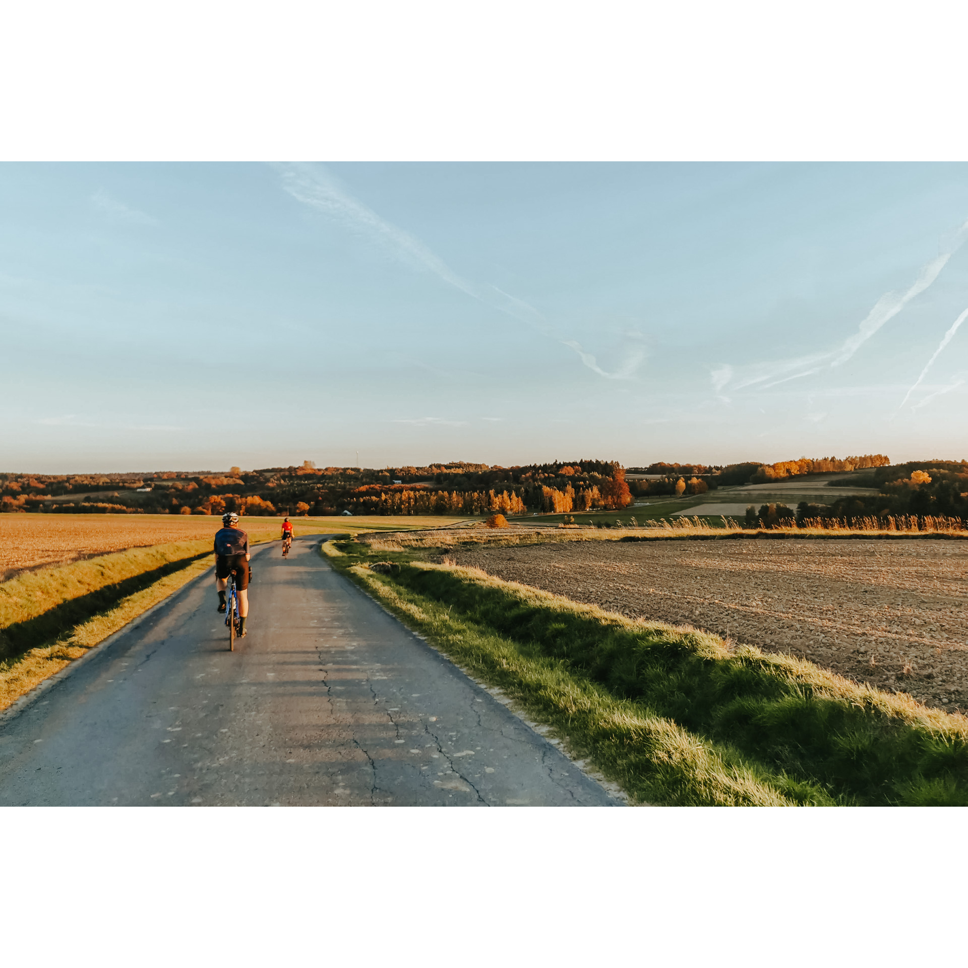 Two cyclists riding an asphalt road between farmland at sunset, brown and red treetops on a hill in the distance and a blue sky